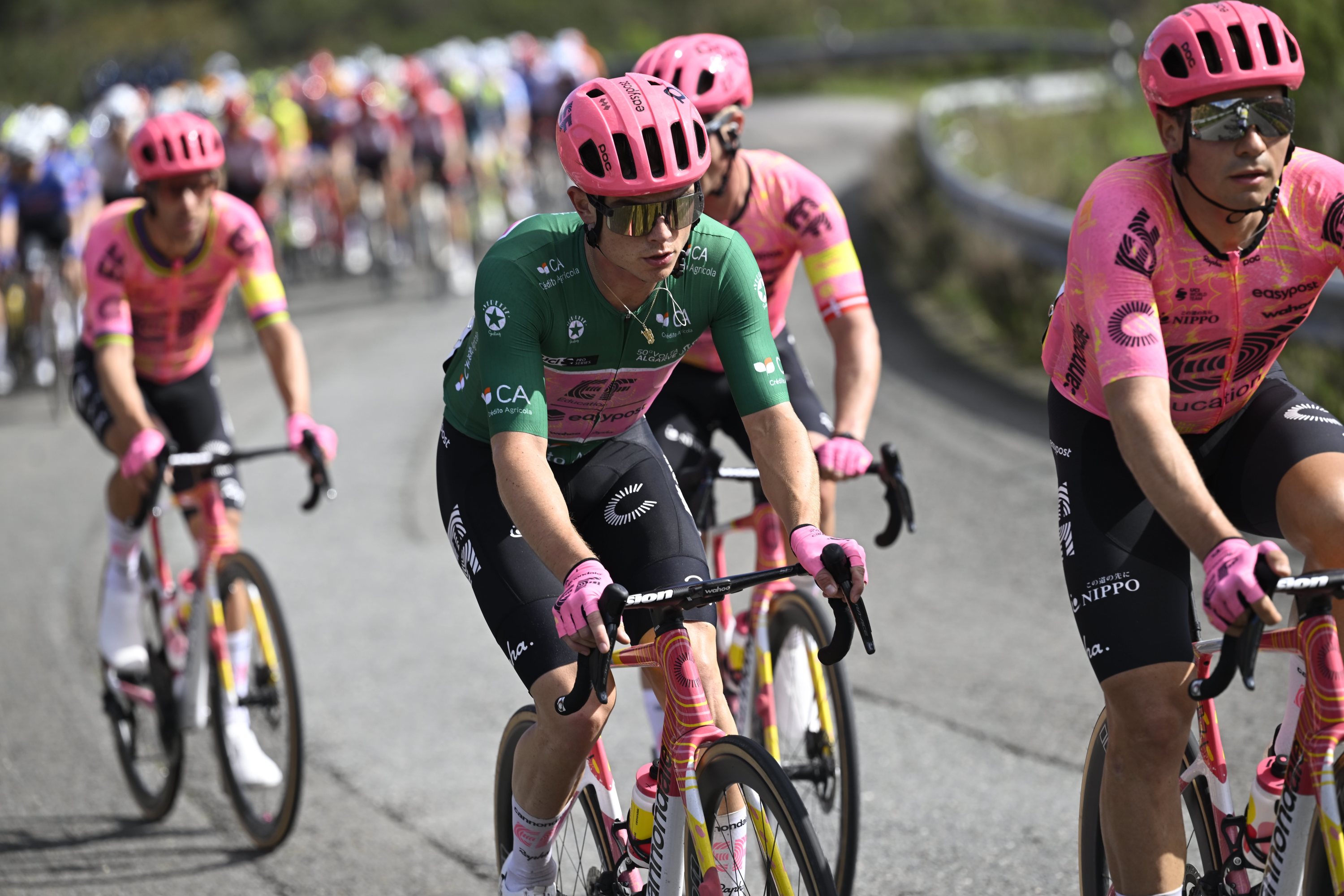 Cyclisme: van den Berg s’impose au sprint pour la quatrième étape du Tour de Catalogne, Pogacar toujours leader