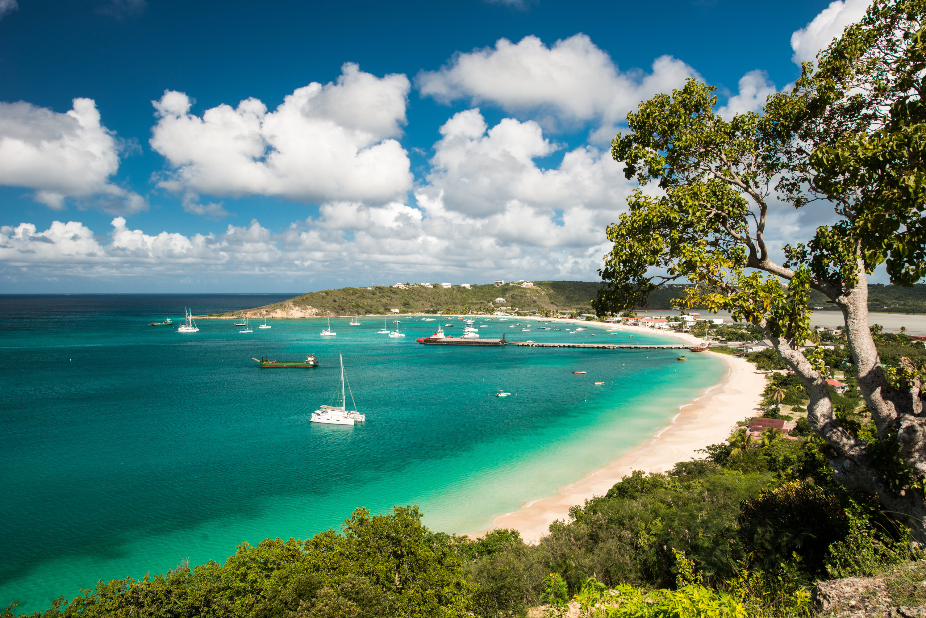 Une île des Caraïbes gagne des millions «sans rien faire» grâce à l’intelligence artificielle