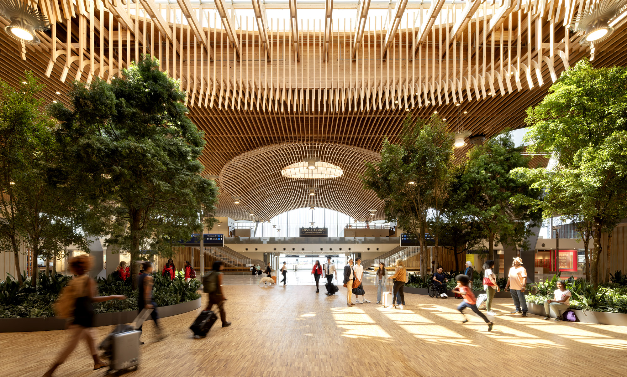 Entre lamas thérapeutiques et moquette iconique, l'aéroport de Portland réserve quelques surprises aux voyageurs