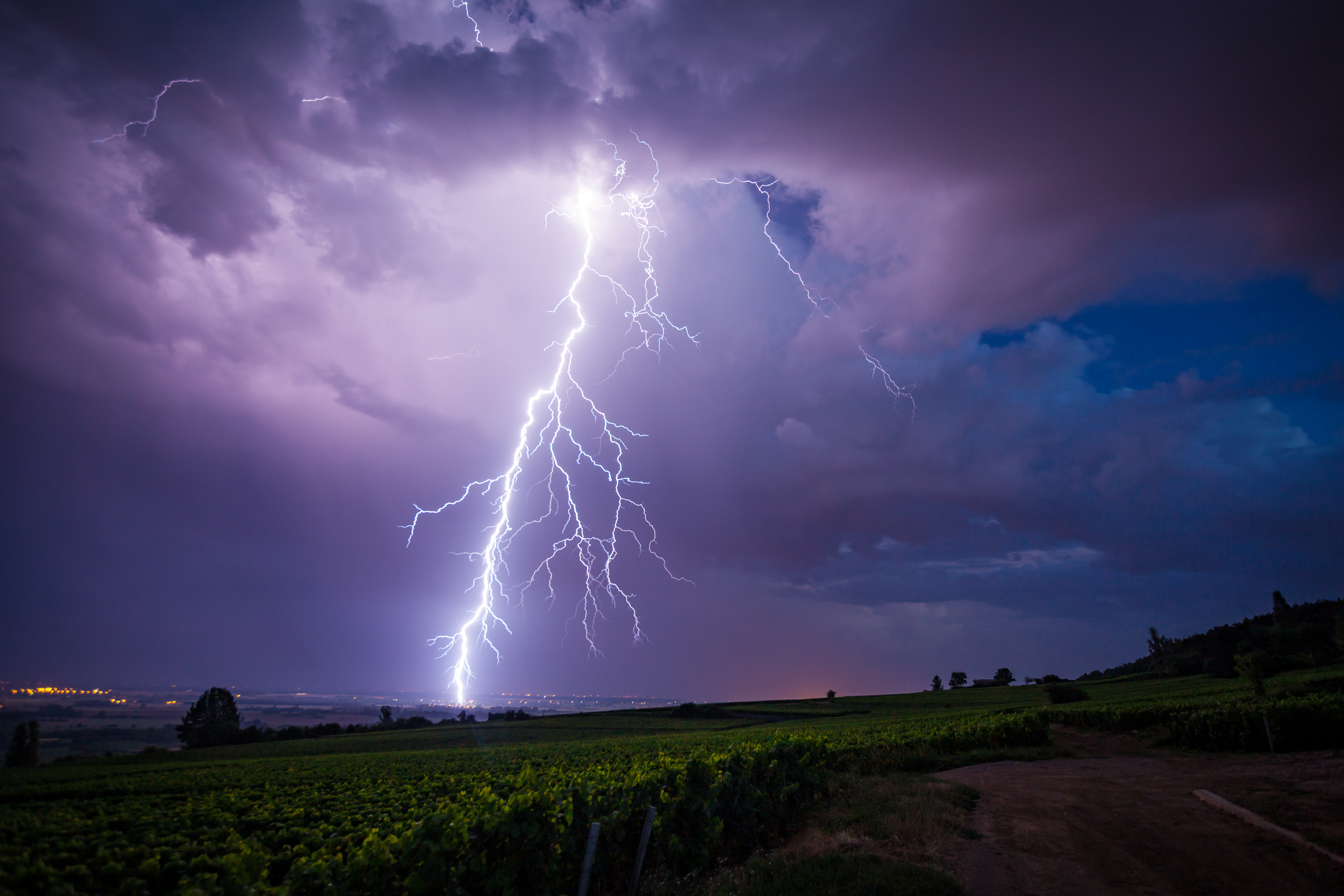 Vents à 150 km/h, chutes de grêlons, arbres couchés : les images impressionnantes des orages