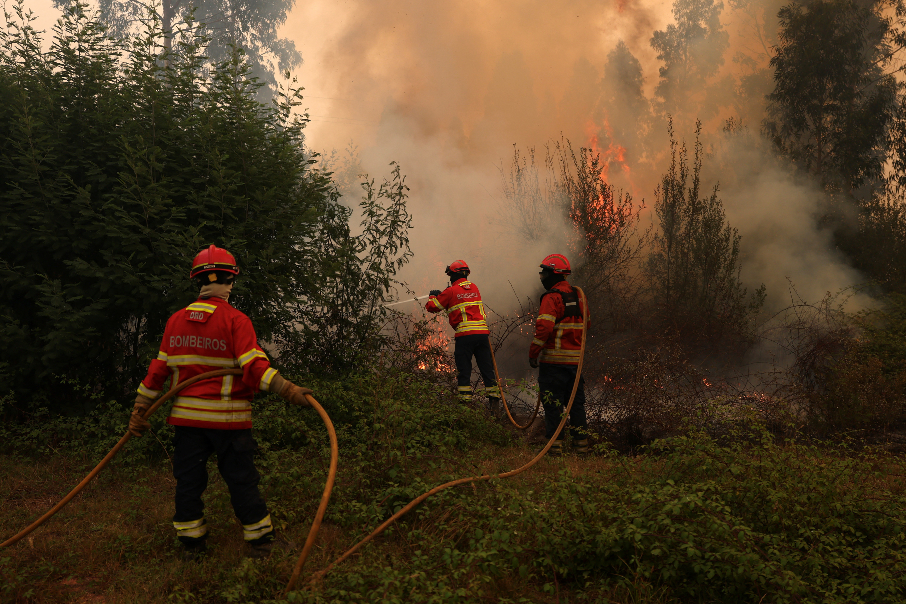 Le Portugal continue de se battre contre de violents feux de forêt