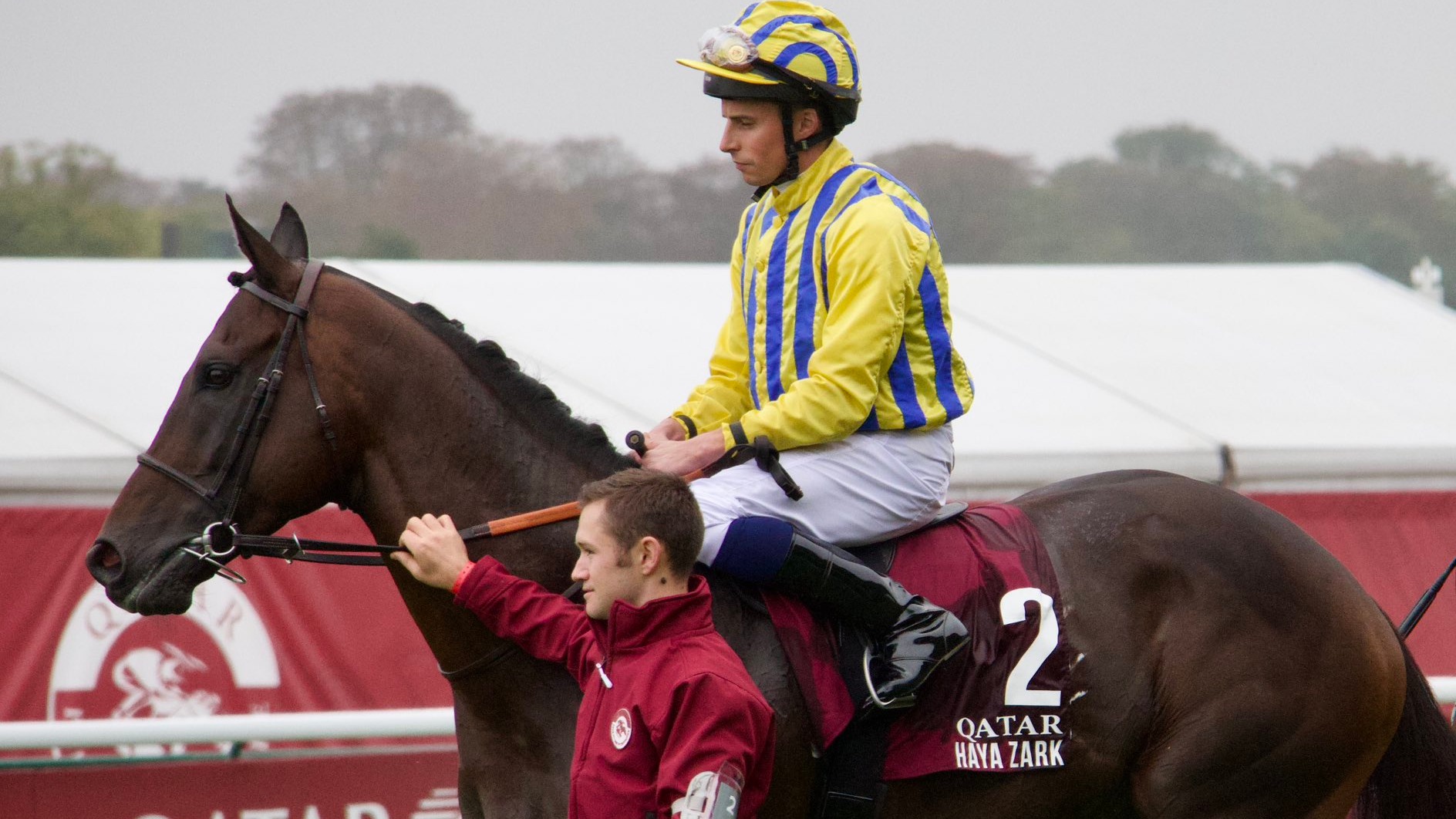 Hippisme : un cheval décède pendant le Qatar Prix de l’Arc de Triomphe