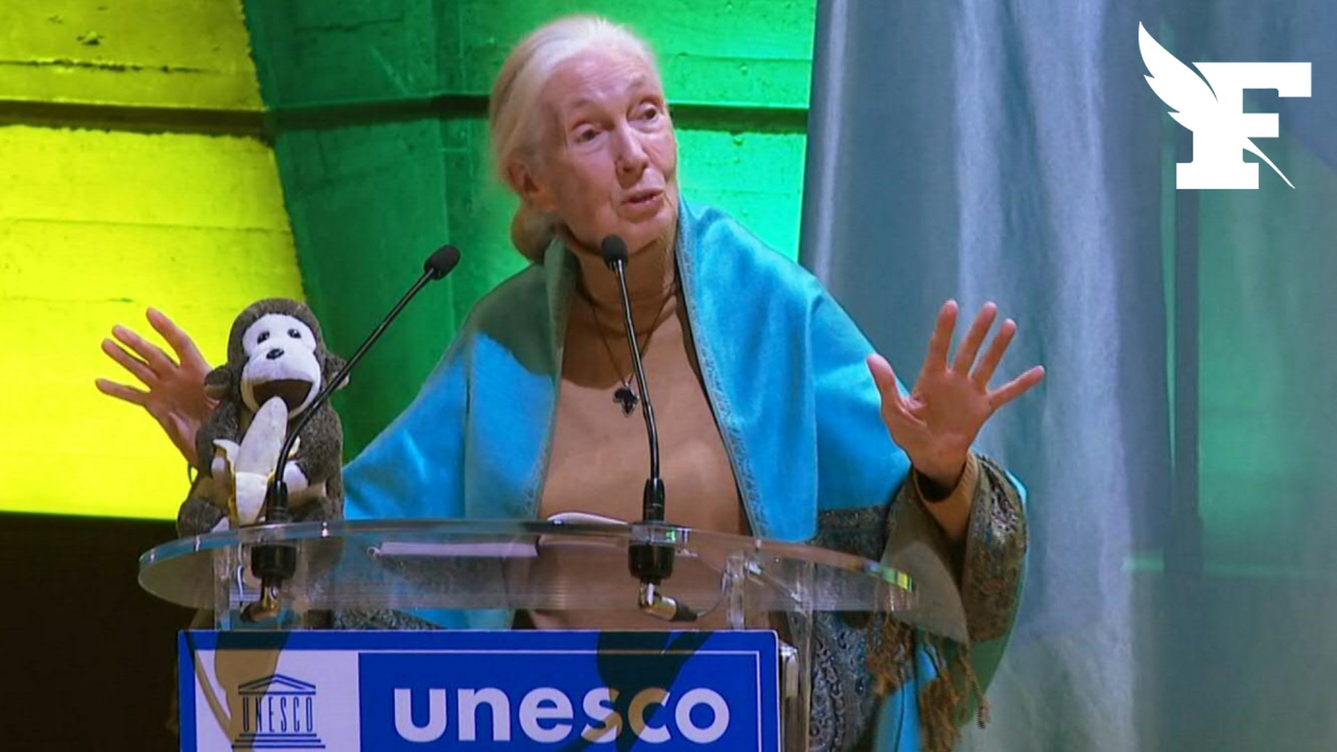 Jane Goodall s'adresse à l'Unesco en parlant «chimpanzé» pour alerter sur l’urgence climatique