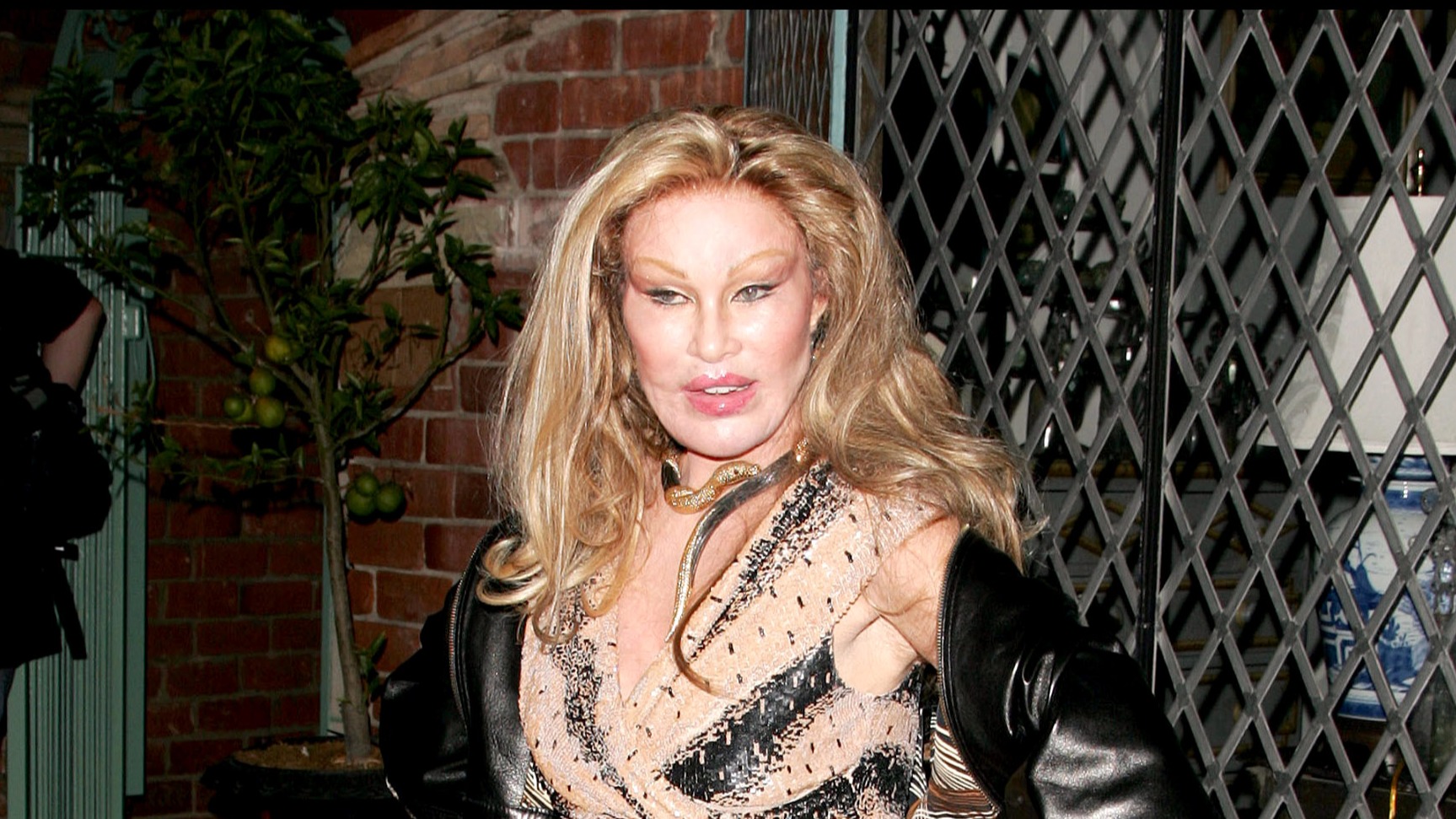 Mort de Jocelyne Wildenstein, “la femme-chat” : son impressionnante transformation physique en images