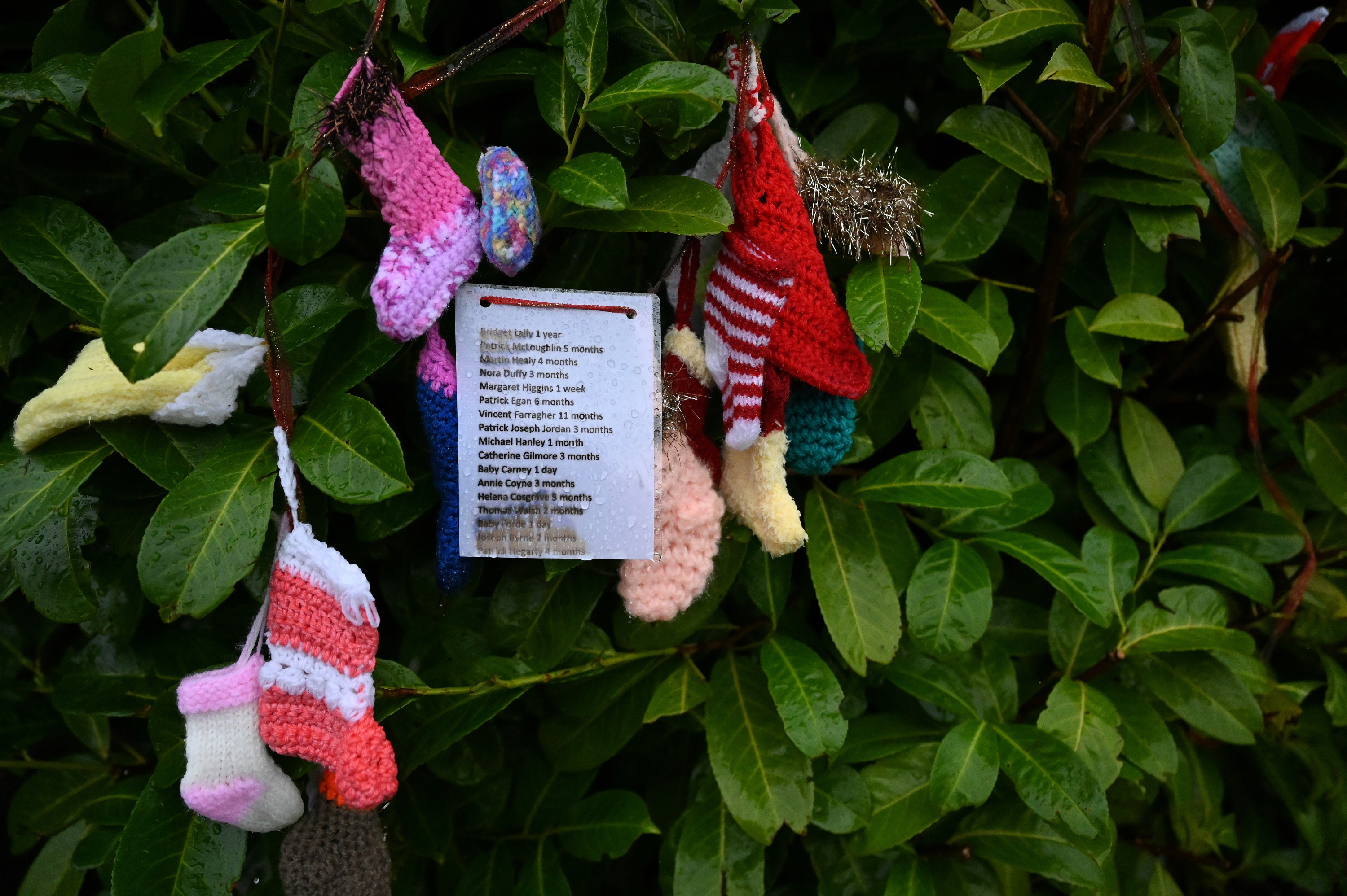 Irlande : 796 bébés morts abandonnés dans une fosse commune vont être exhumés
