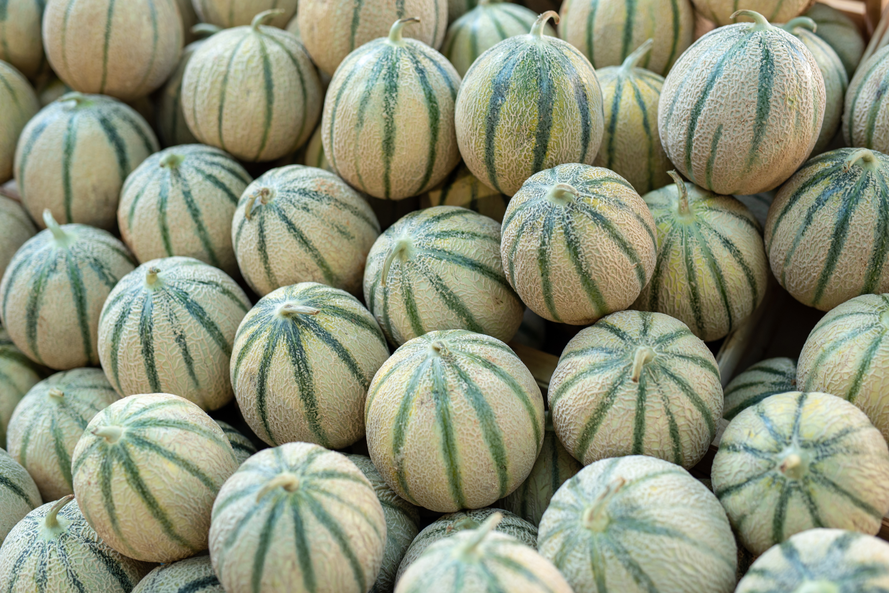 Des melons vendus chez Carrefour, Leclerc ou Intermarché rappelés car contenant trop de pesticides