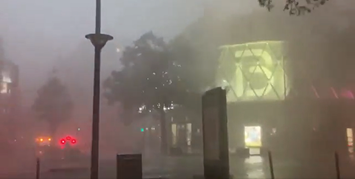 Arbres couchés, quais inondés, rafales de vent à 90 km/h... Les images du violent orage qui a frappé Paris