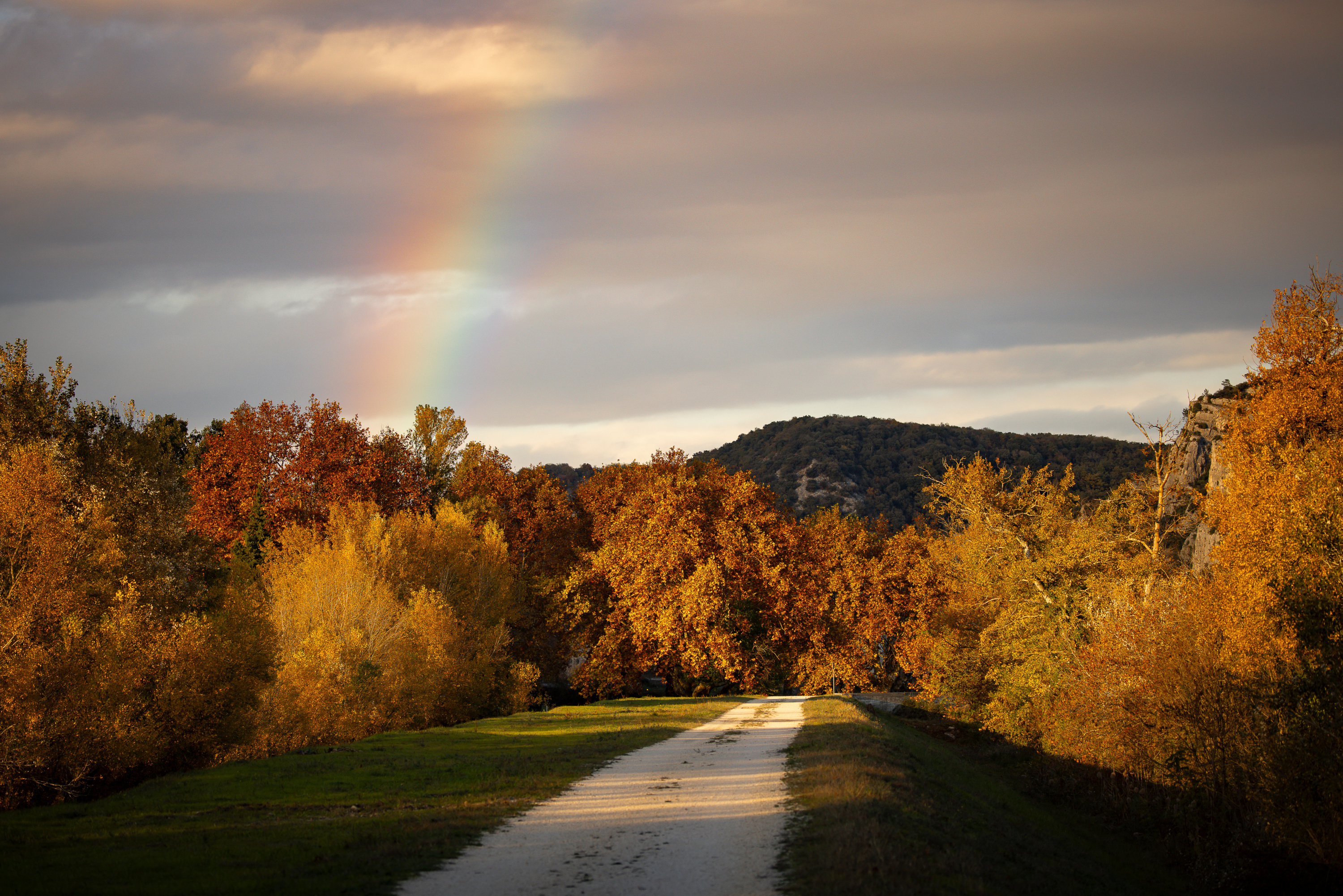 Temps automnal, retour de la chaleur... À quoi faut-il s’attendre pour la météo de cette semaine ?