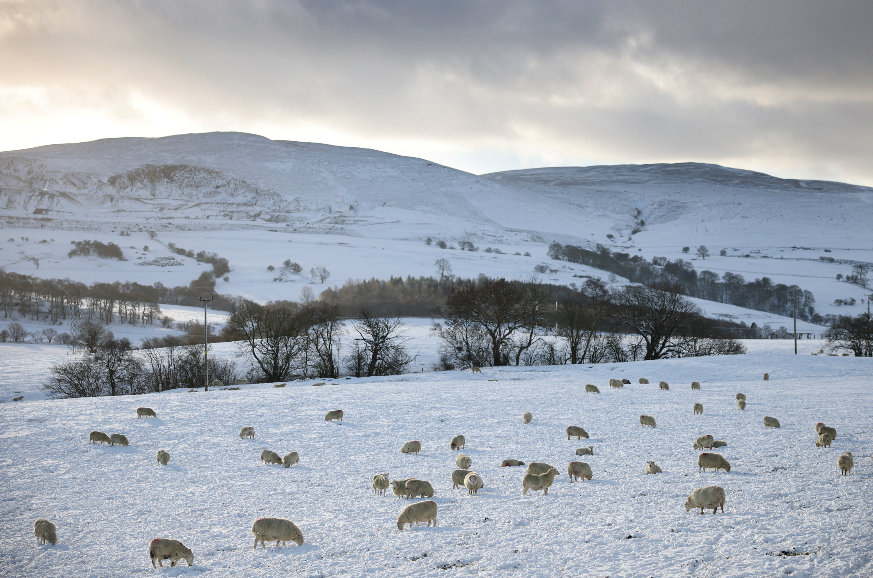 Météo : alerte Grand froid dans l’Est, de la neige et du verglas dans le Nord