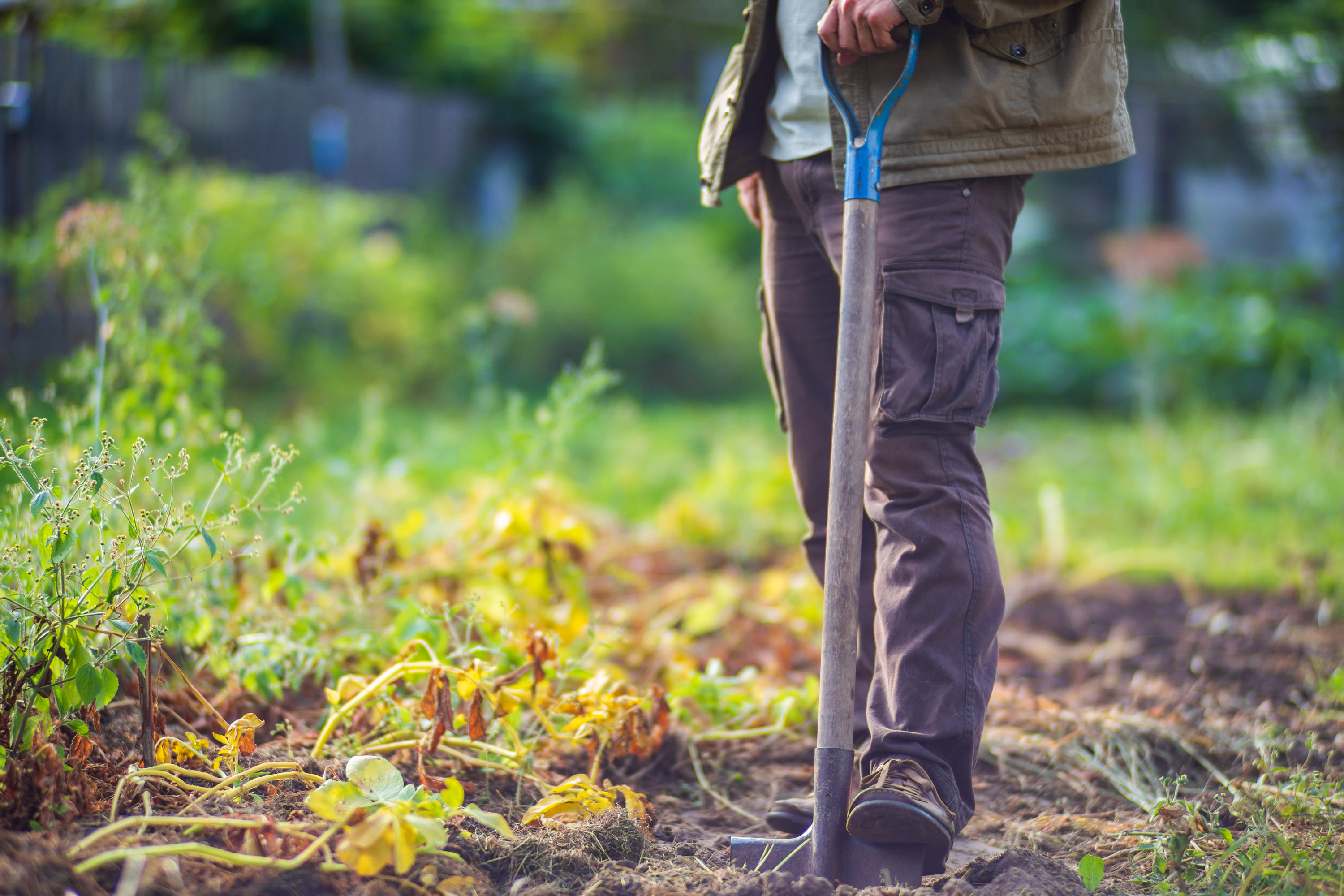 Des polluants éternels ont contaminé des milliers d'hectares de terres agricoles selon une enquête