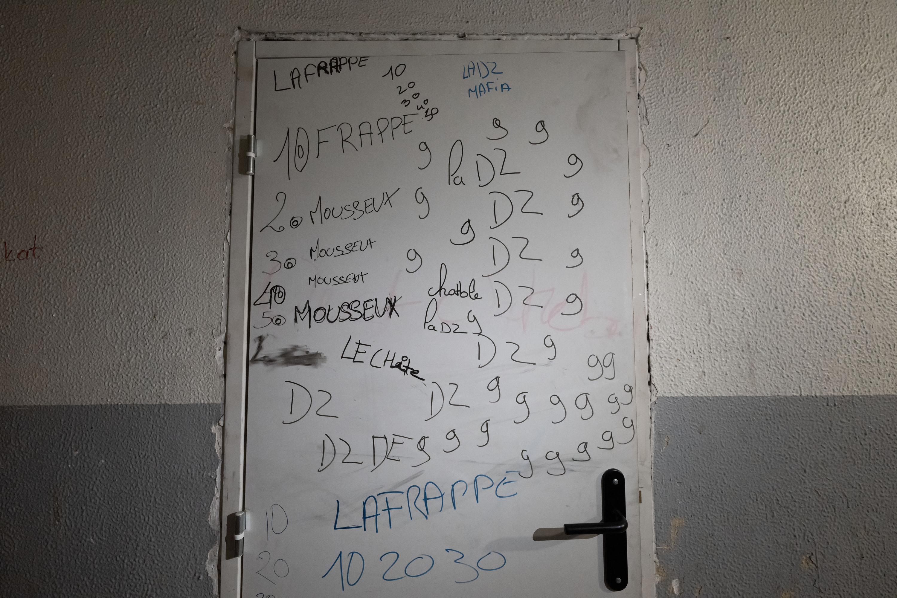 Major Police Operation 'Octopus' Leads to 26 Indictments in DZ Mafia Crackdown