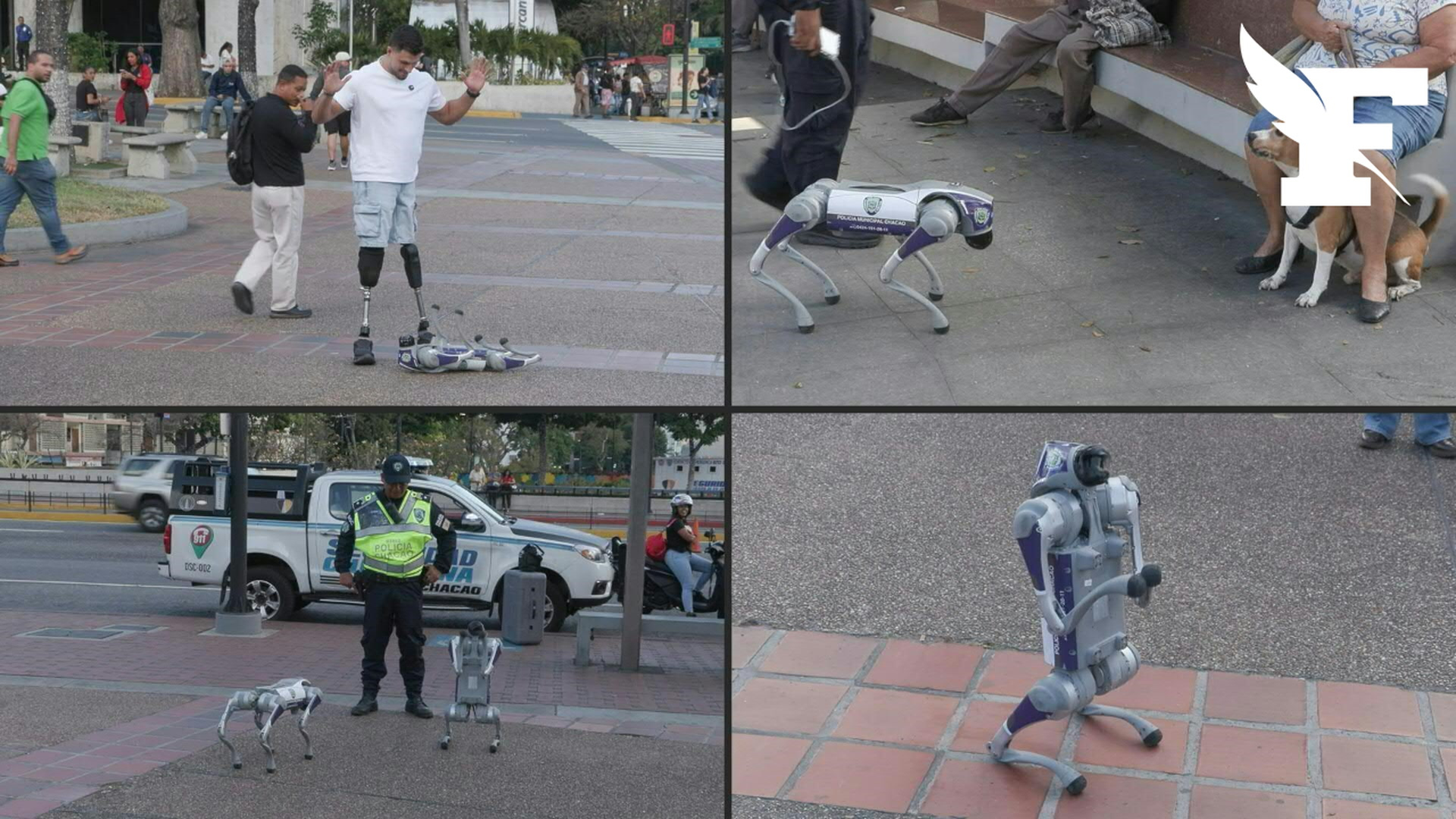 Venezuela : des chiens robots employés pour renforcer la sécurité de la capitale