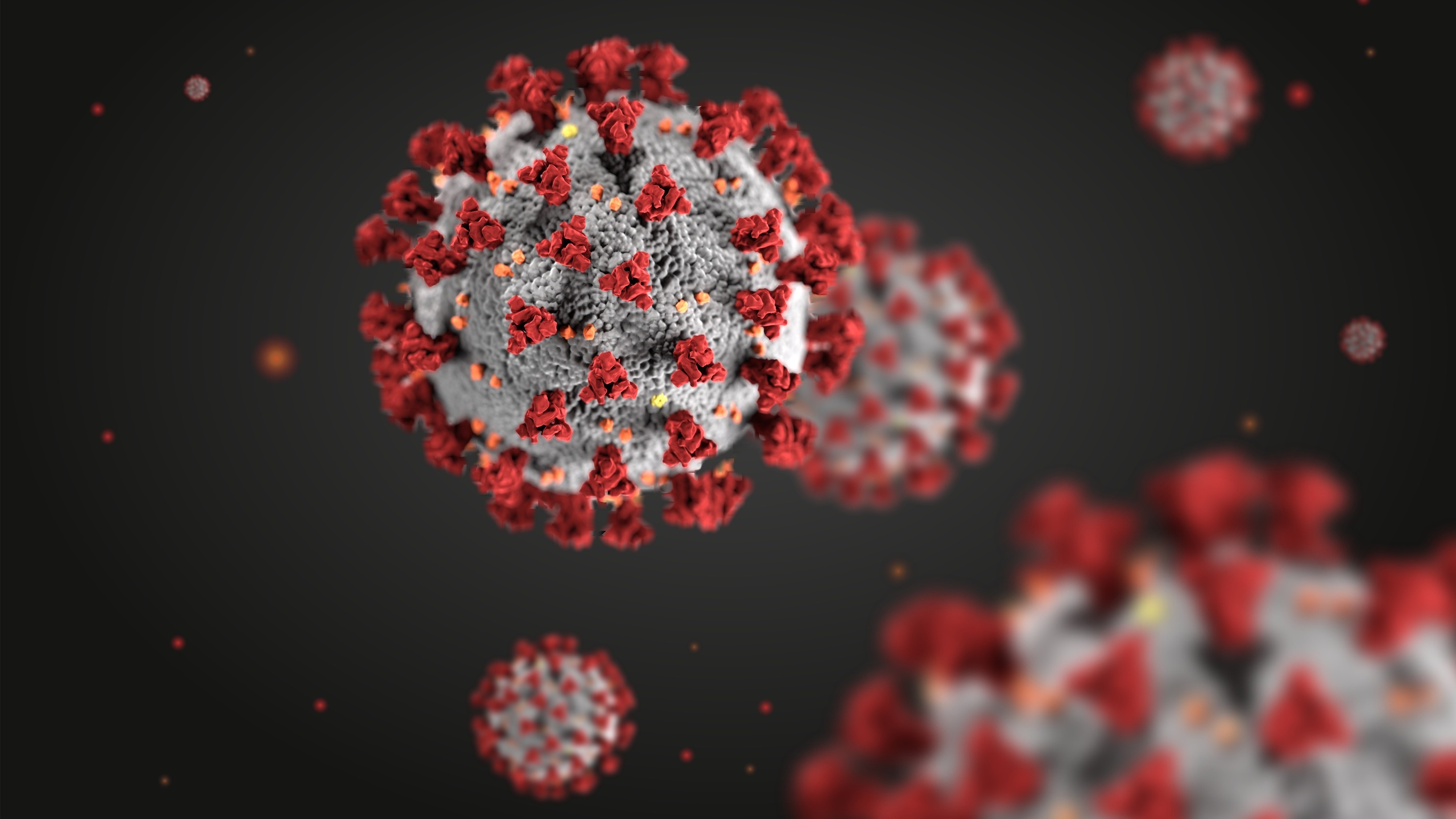 Une nouvelle porte d’entrée dans les cellules humaines découvertes pour les coronavirus