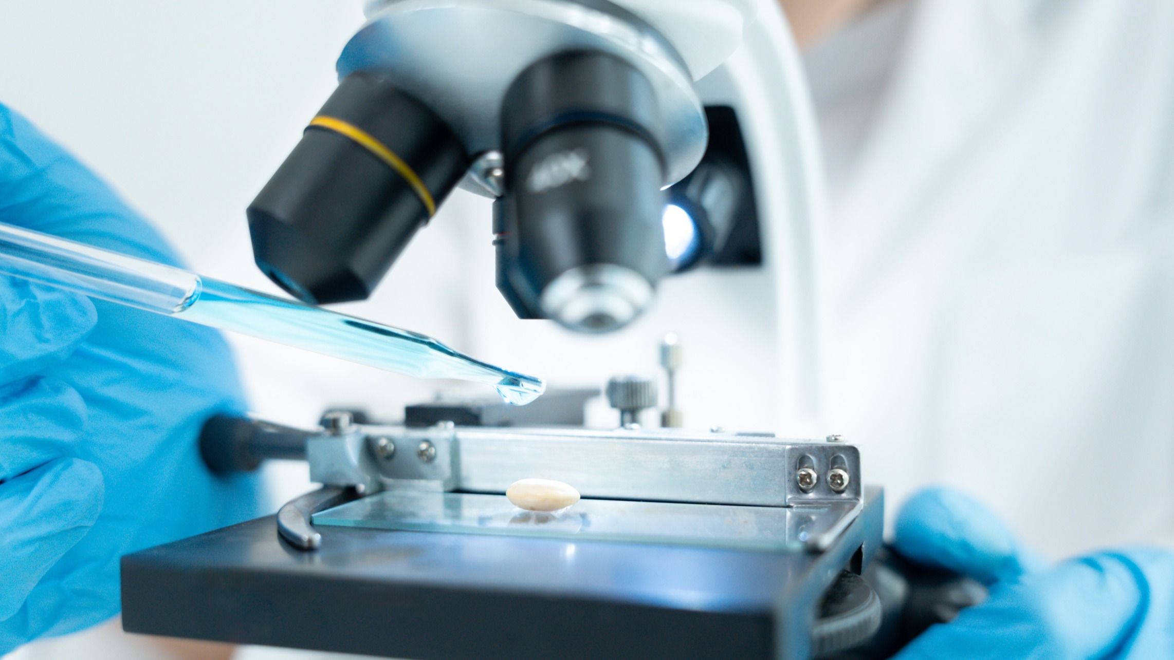 Face au cancer et aux maladies neurodégénératives, Nanobiotix mise sur ses prometteuses nanoparticules