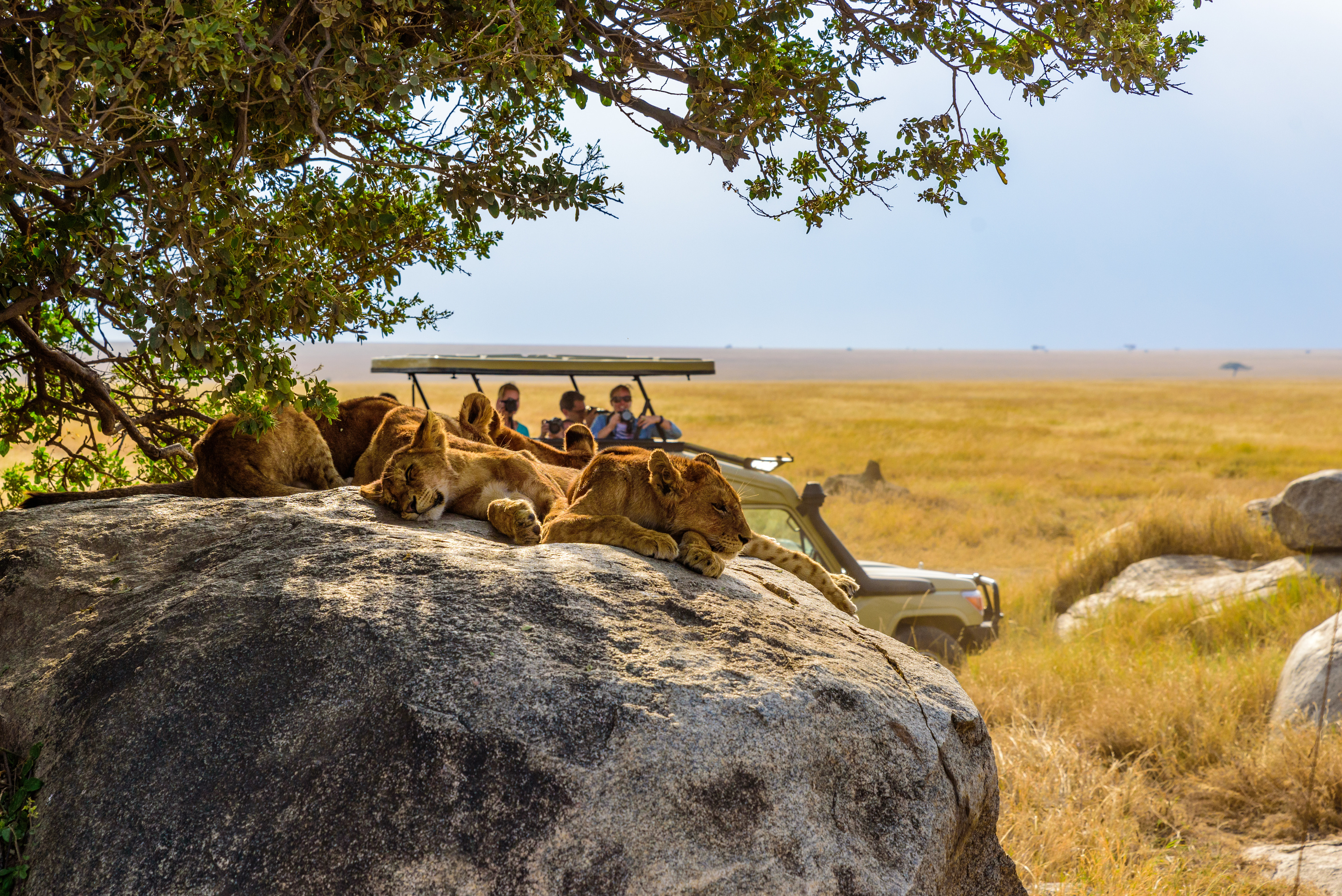 Tanzanie, Maldives, Thaïlande... Comment le voyage long-courrier se recompose après la crise