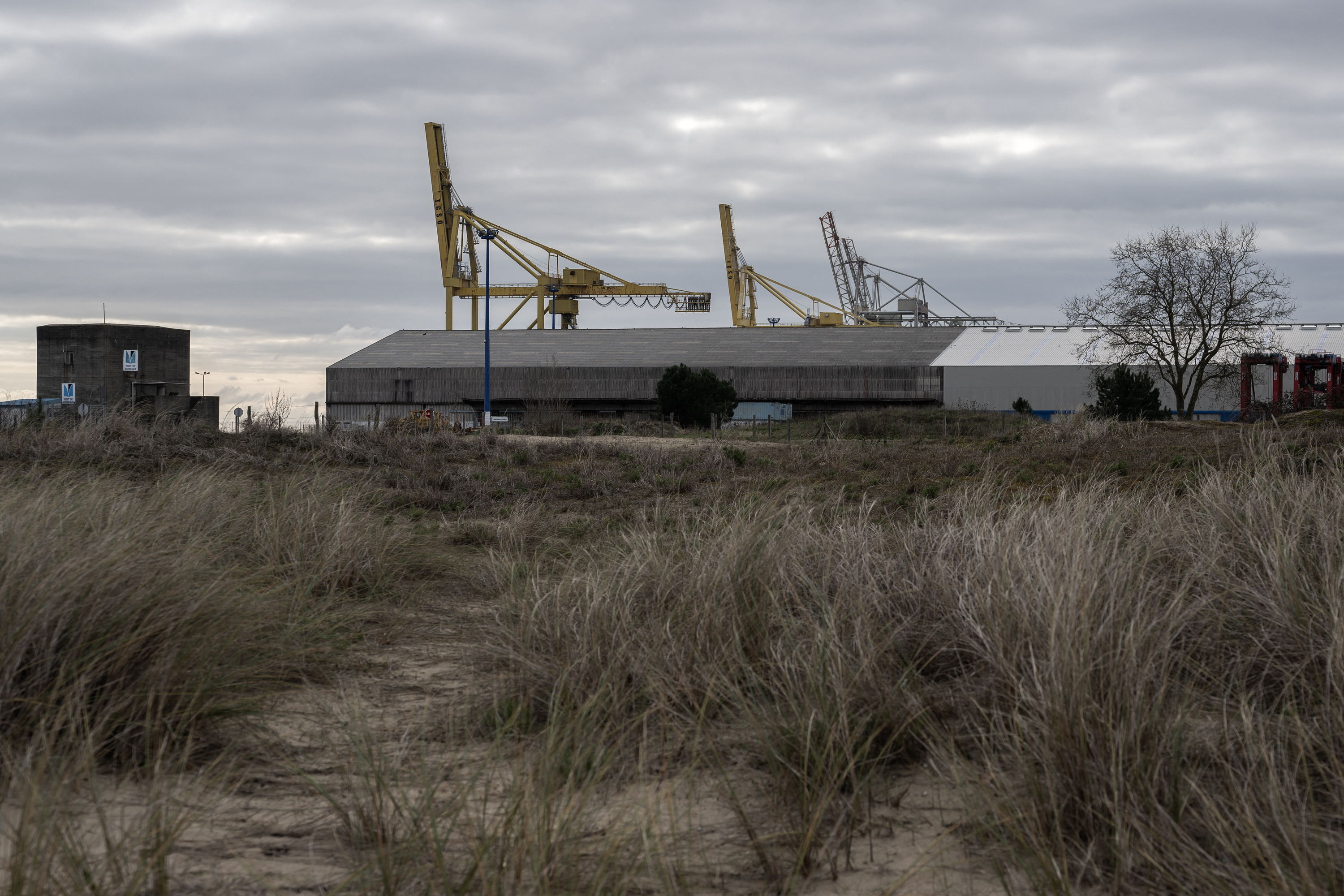 Gironde : nouveau feu vert pour le projet de méga usine de production de saumons