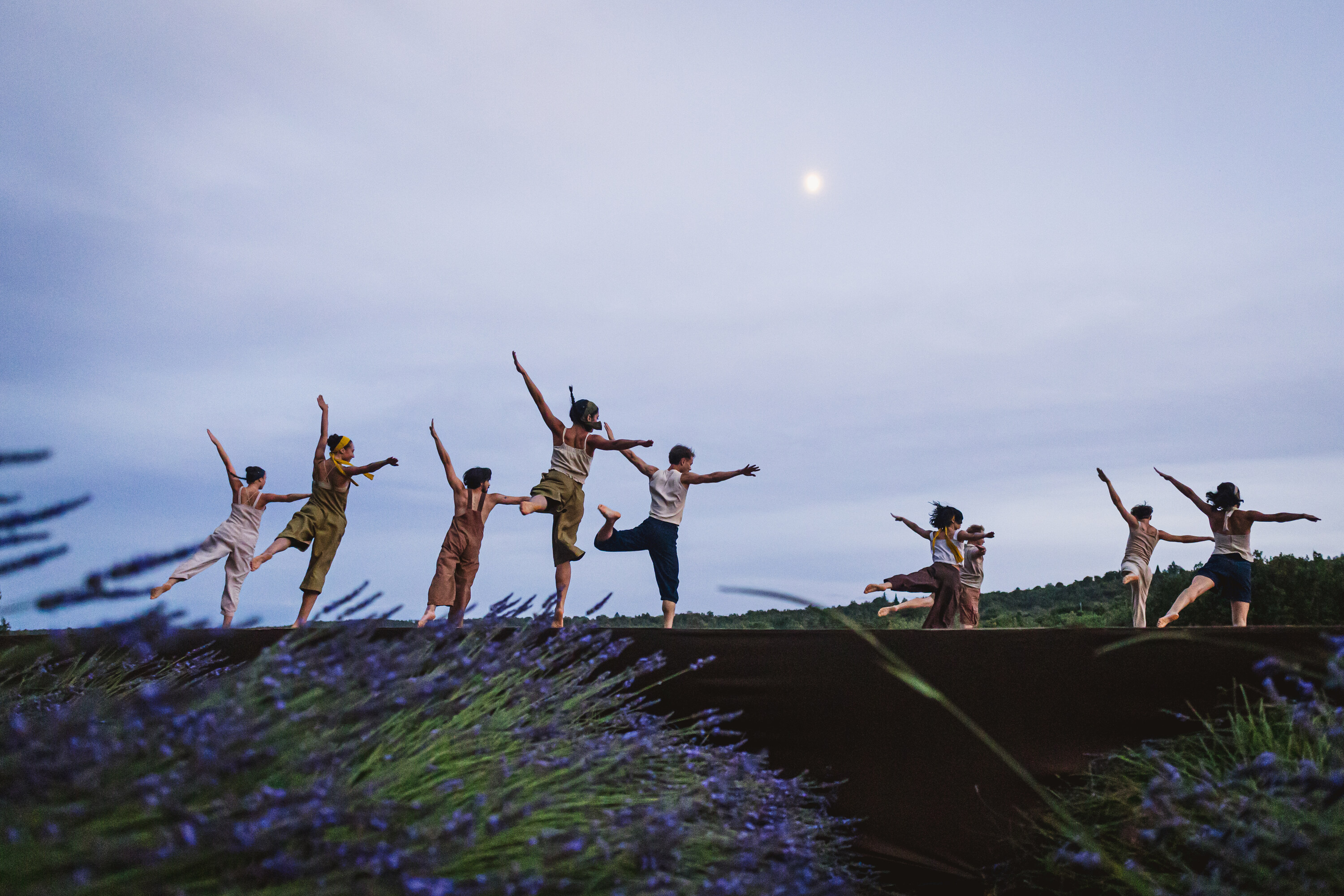 L’Occitane en Provence célèbre ses 50 ans