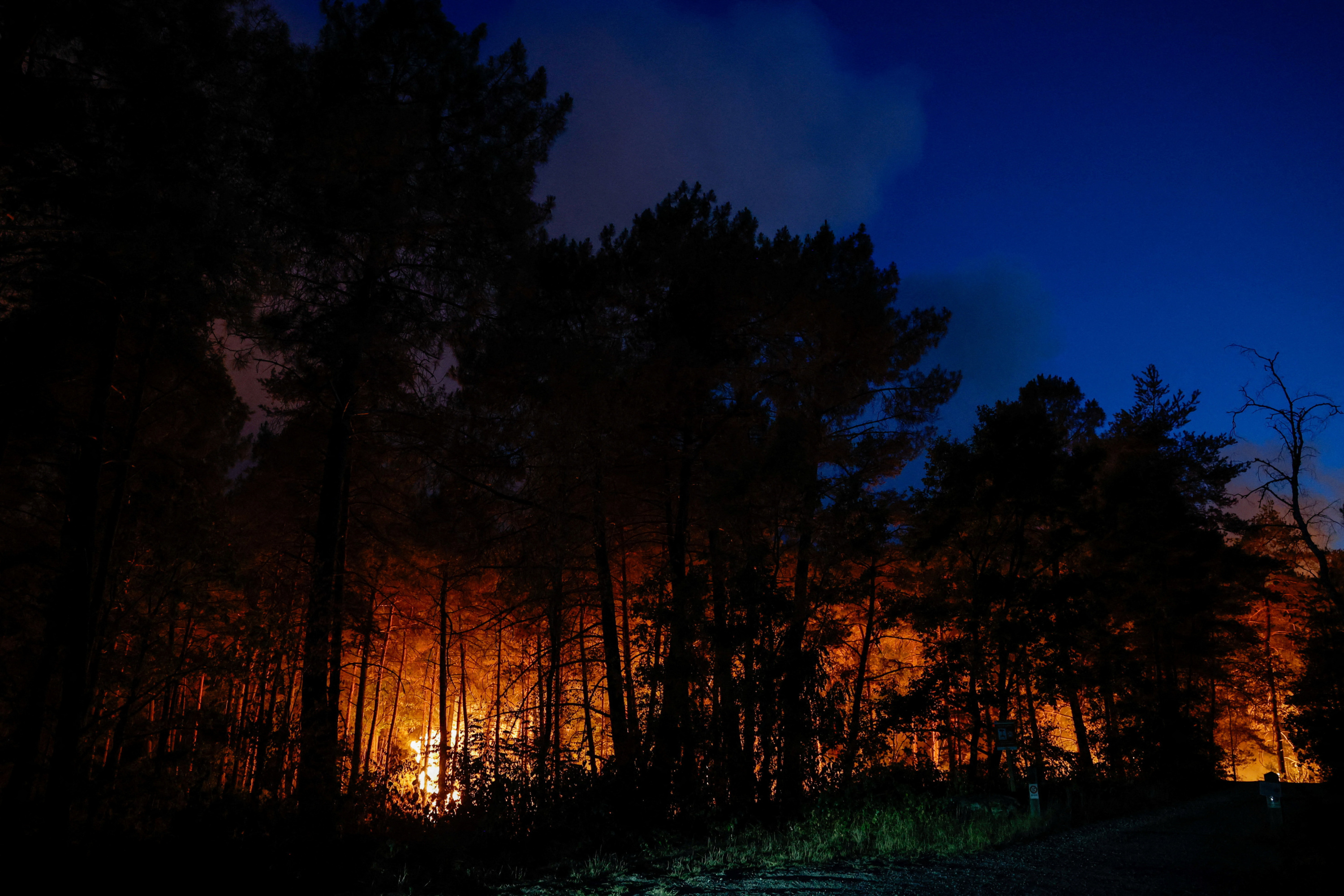 Incendie de la forêt de Fontainebleau : les perturbations ferroviaires se poursuivent ce lundi matin