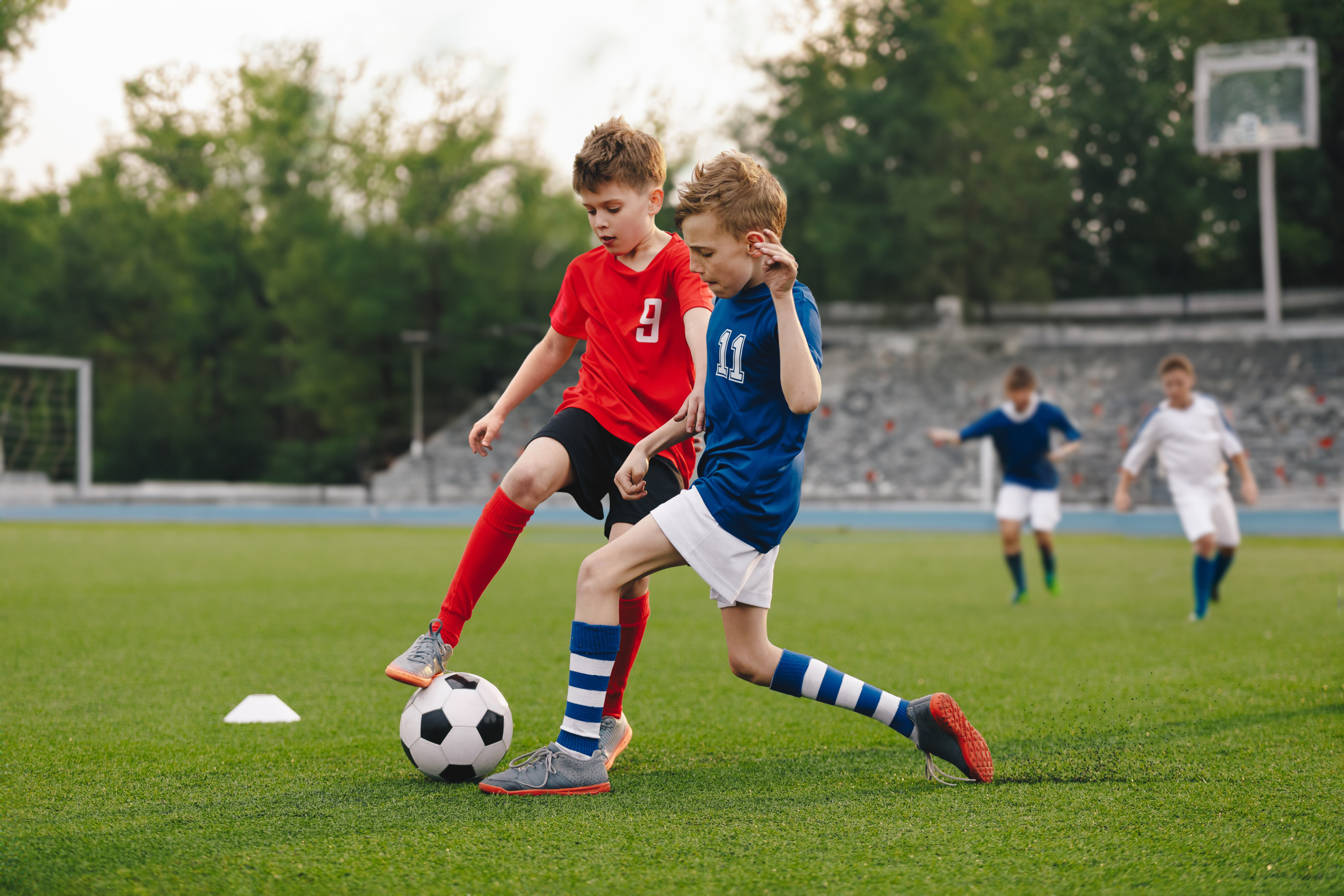 Pass Sport : élus et représentants sportifs réclament des précisions «d’urgence» sur son retour pour les plus jeunes