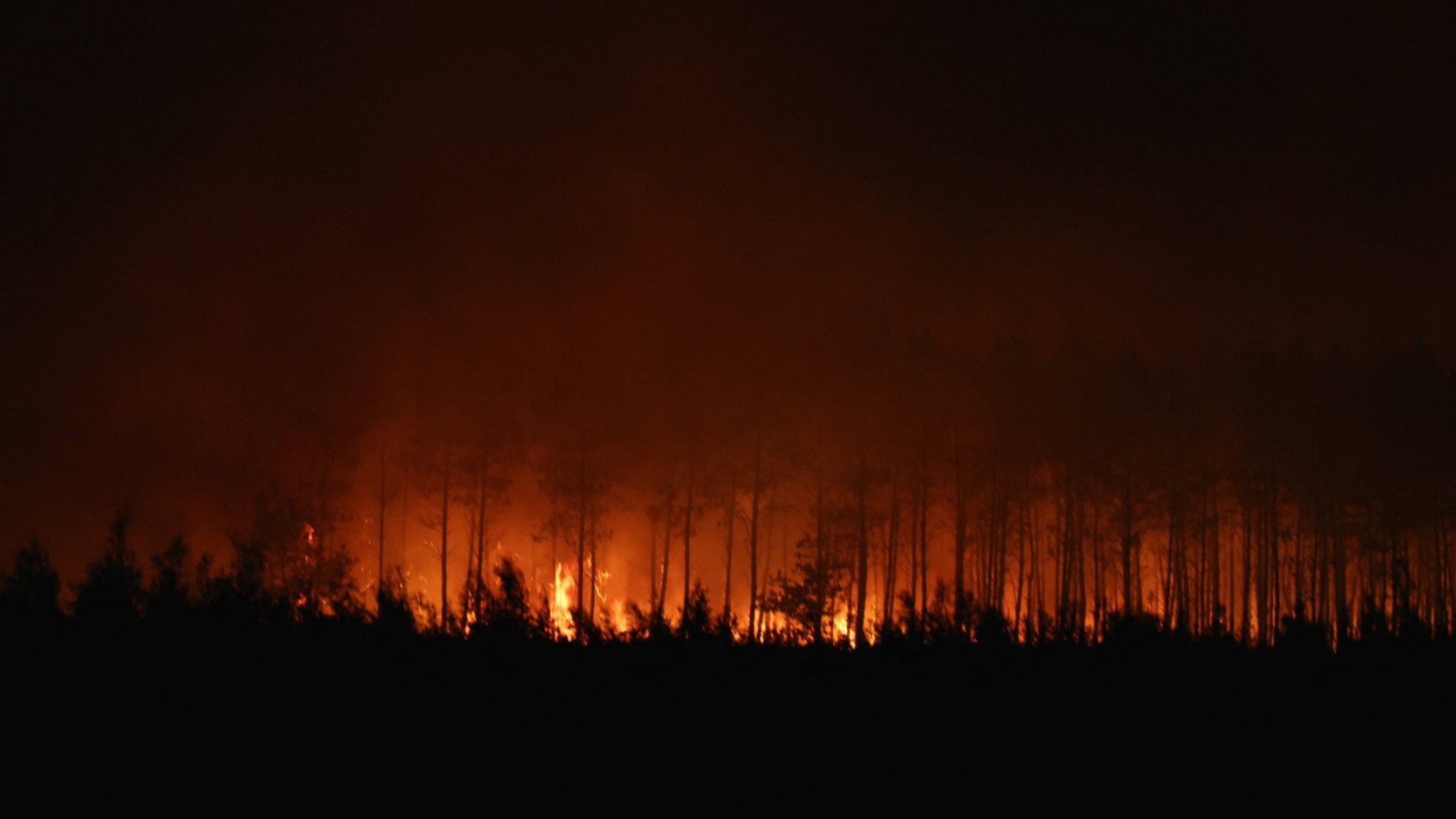 Incendies en France : en Gironde et dans les Landes, les campings en première ligne