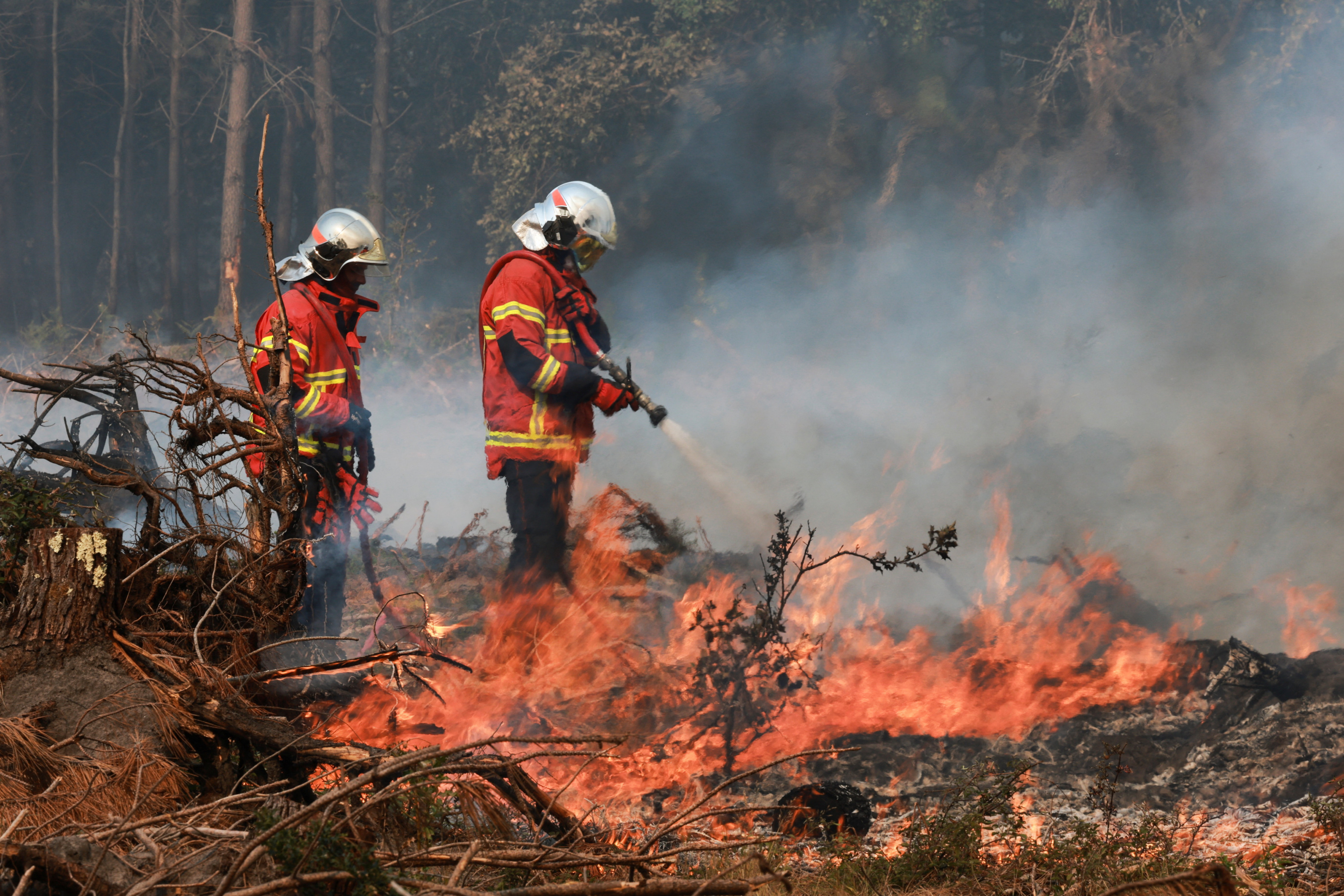 Incendie dans les Landes : le feu a repris dans la nuit, 650 personnes évacuées