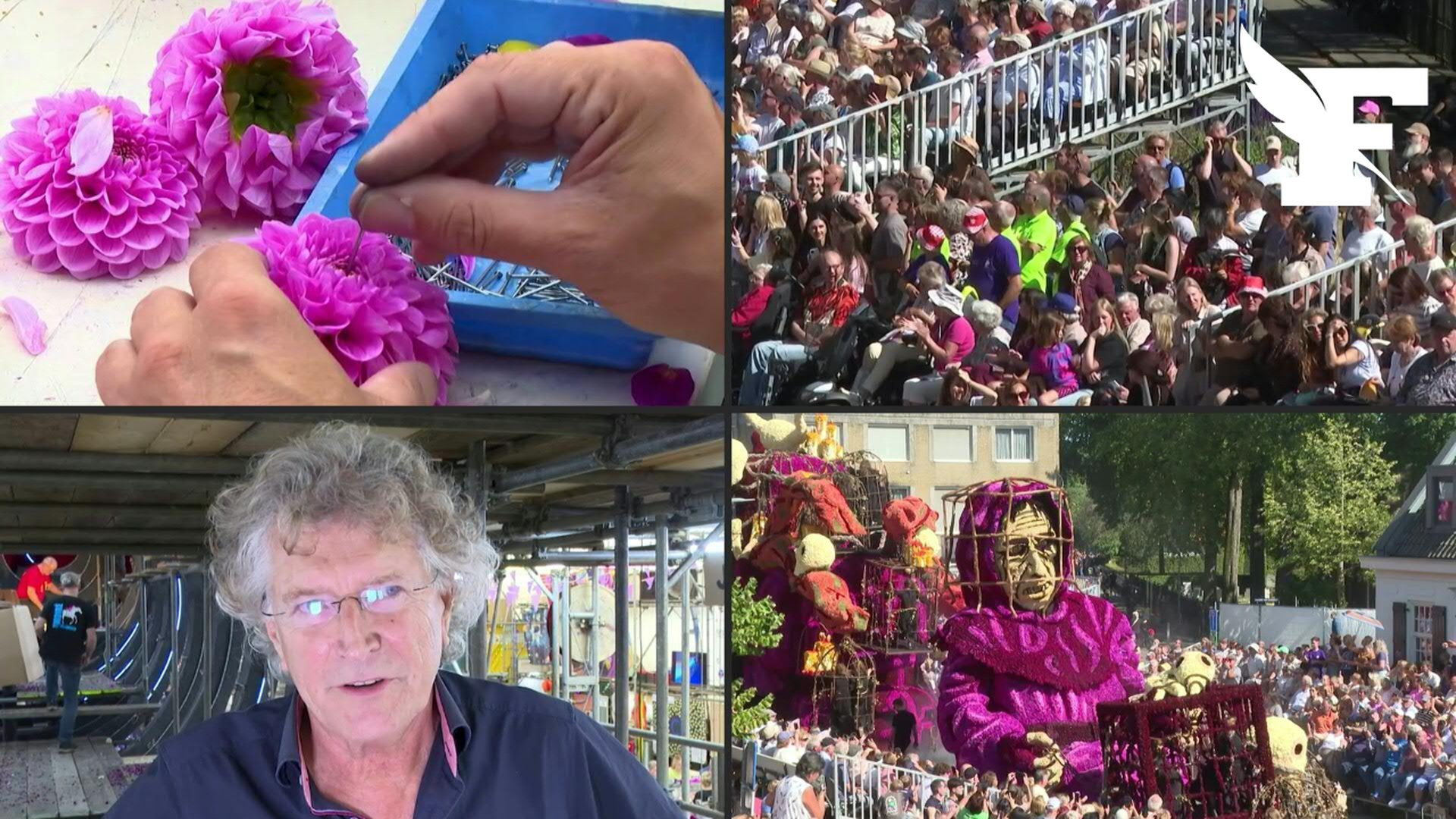 400.000 dahlias, créations sophistiquées : aux Pays-Bas, la fièvre du corso fleuri s’empare de la ville de Van Gogh