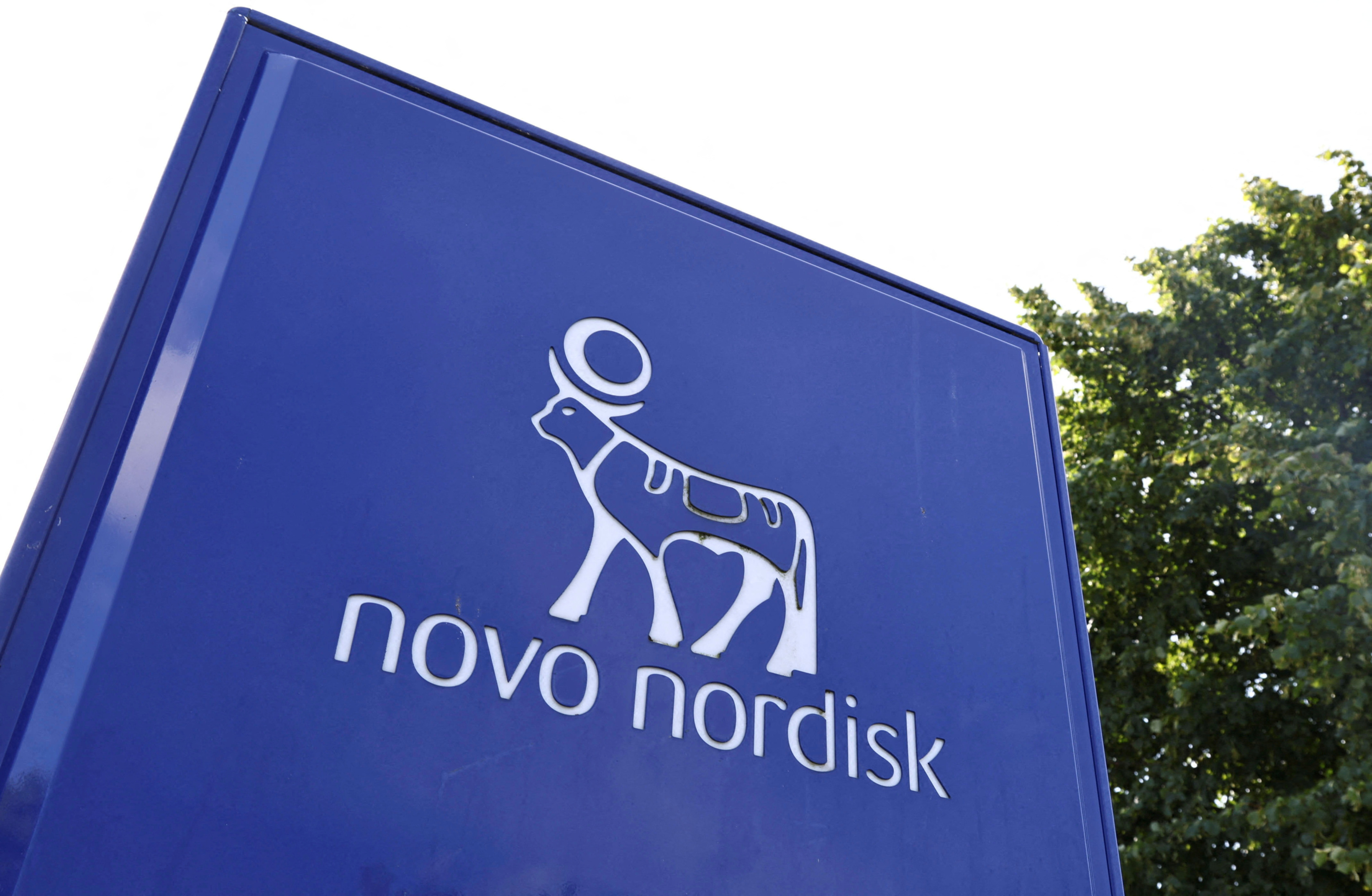 Le géant pharmaceutique danois Novo Nordisk raccourcit son nom pour se démarquer