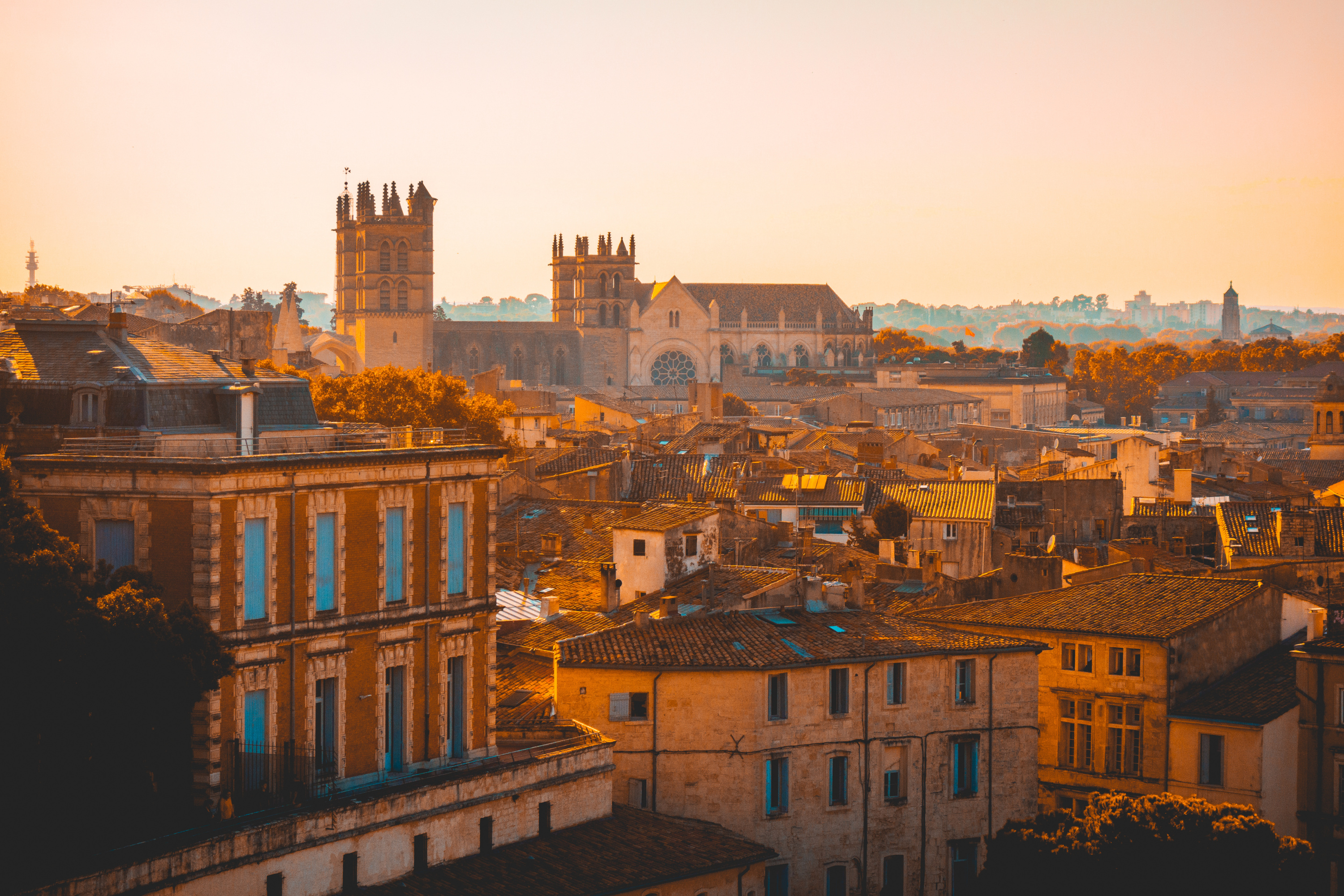 Archéologue amateur, collectionneur et ancien huissier… Qui était l’homme qui a légué 2,4 millions d’euros à la ville de Montpellier ?