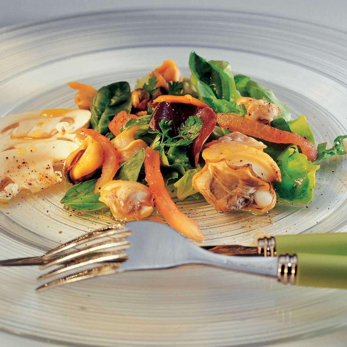Lot De 4 Assiettes à Salade Casual Gourmet - Mélamine Résistante Motif Coquillages 9 Pouces