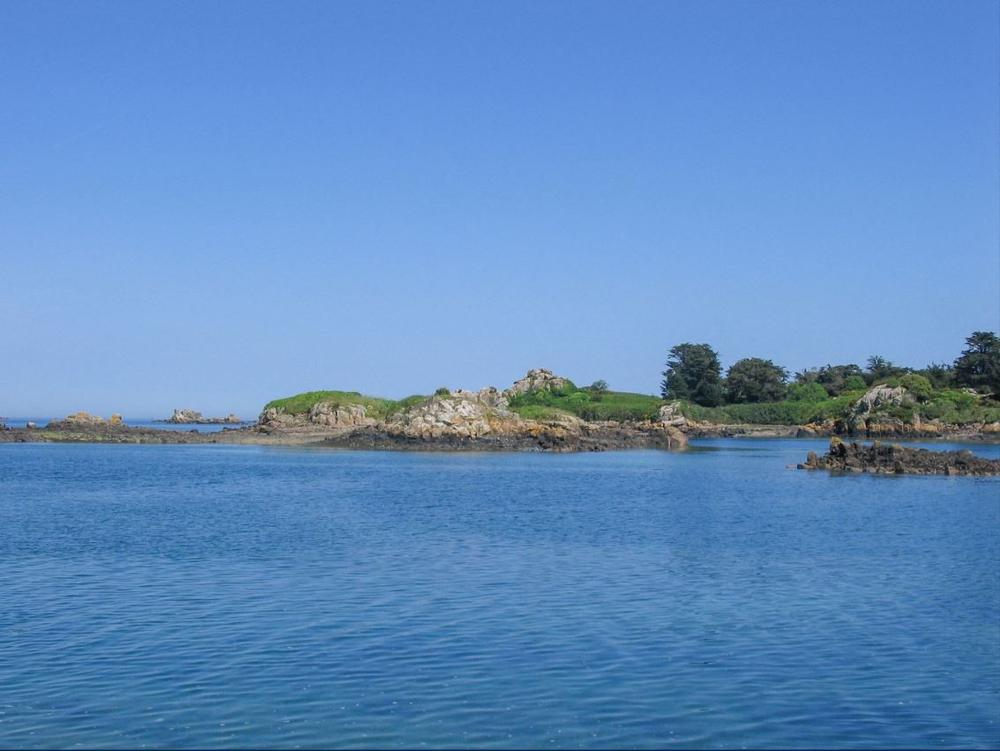 Sitemapcdatahttpsshopmixel Thicoipeinfotroc De L Ile Cherbourgnull