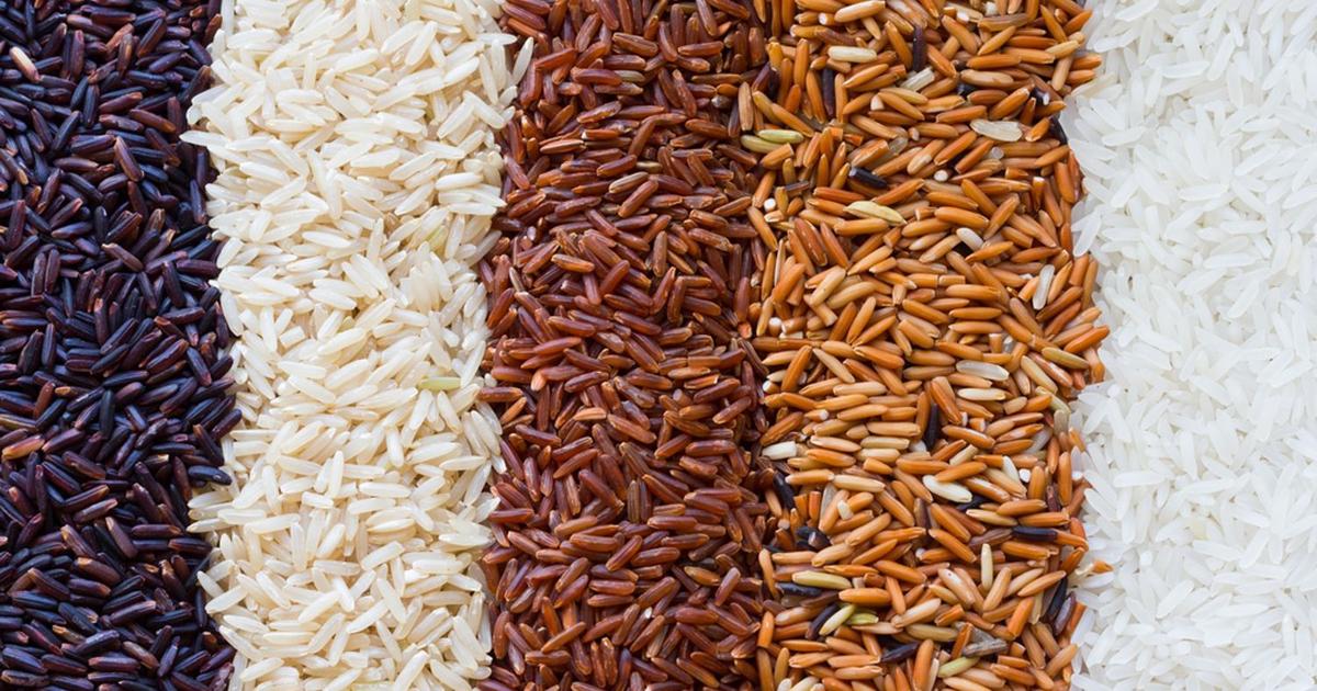 Riz Api Riz basmati, riz thaï ou riz parfumé… Quel riz choisir?