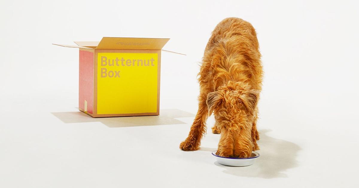 La box à croquette pour chien, la solution design et pratique à