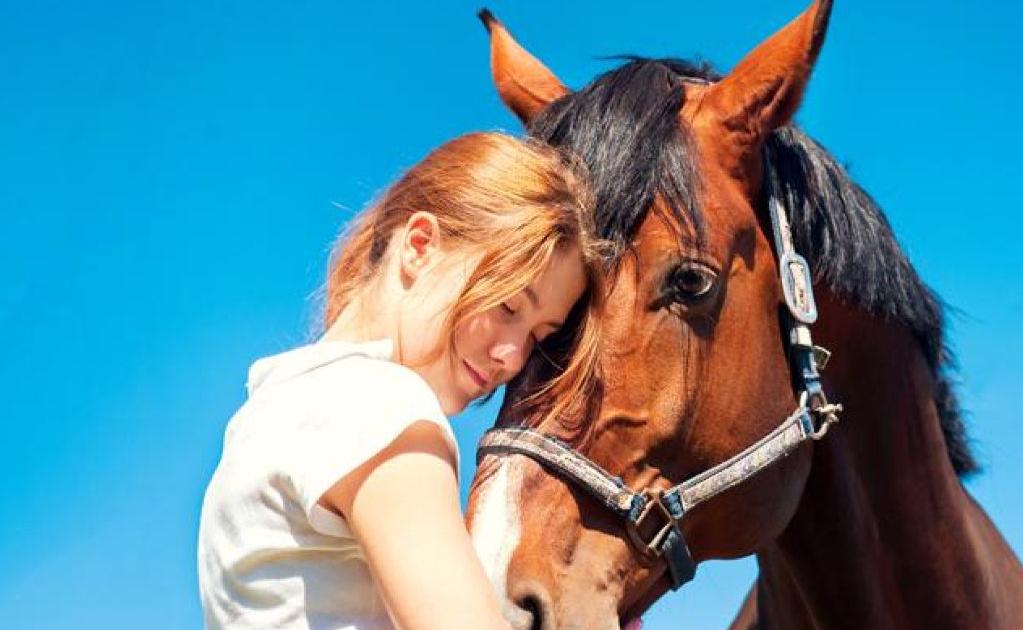 Les pouvoirs du docteur cheval