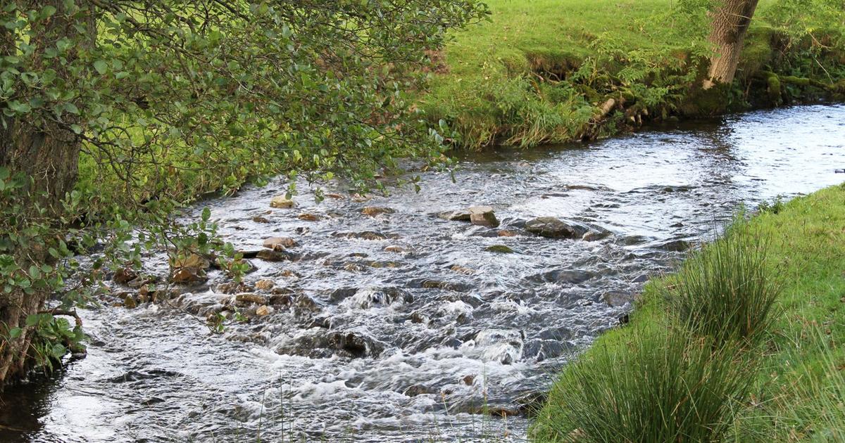 Cours d'eau domanial : quelles sont les contraintes pour le riverain