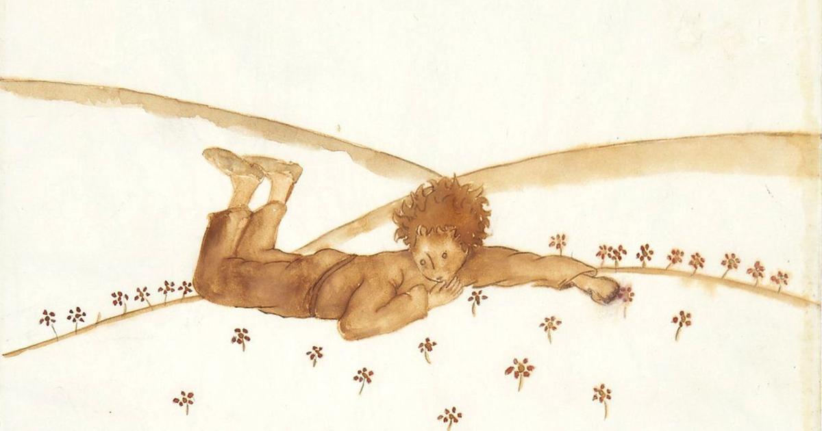 Code 612. Qui a tué le Petit Prince?: un sacré polar de Michel Bussi