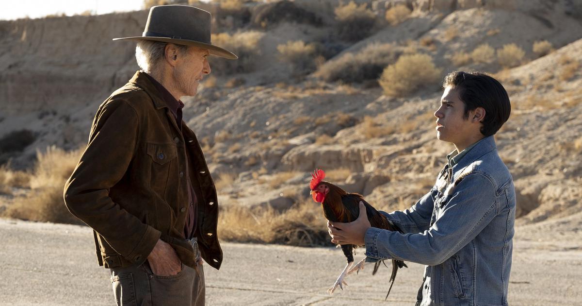 Notre Critique De Cry Macho De Clint Eastwood Le Bon Le Rude Et L Influent