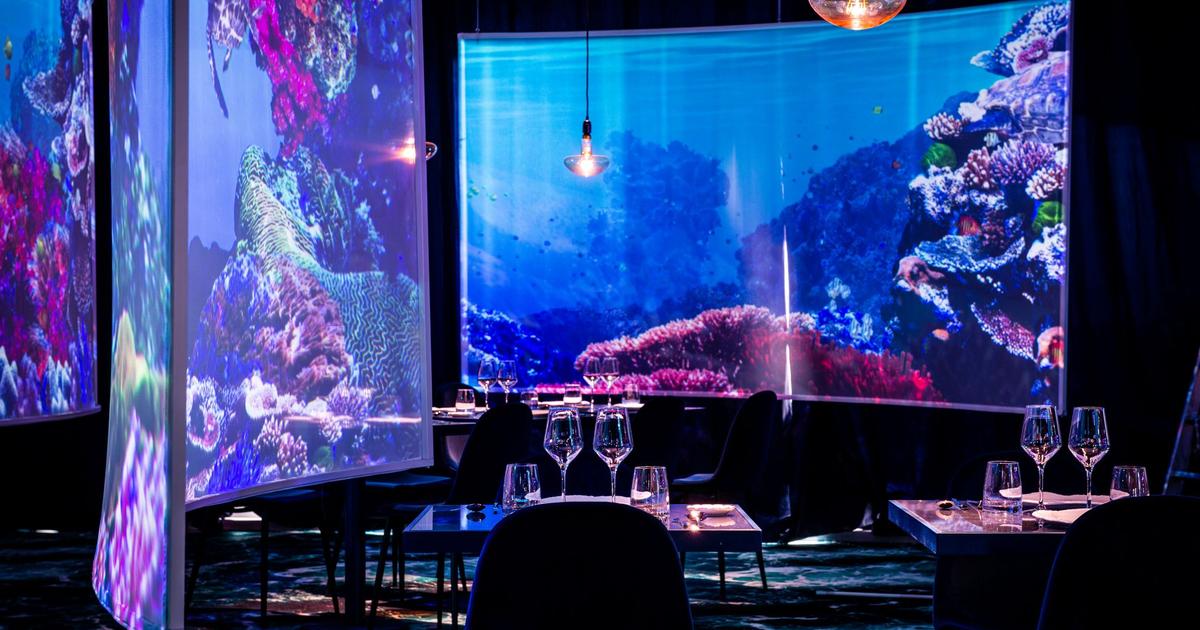 Under the sea by Ephemera in Paris what is the first immersive