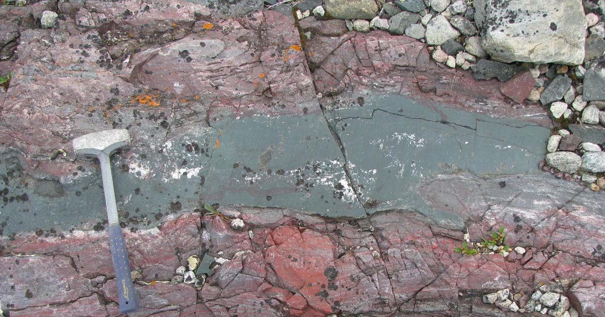 Een onderzoeker uit Quebec beweert de oudste sporen van het aardse leven te hebben gevonden