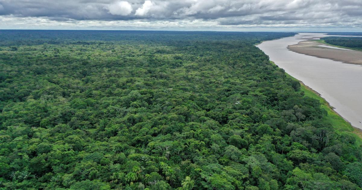 Peradaban Amazon yang misterius dan tidak diketahui terungkap dari langit