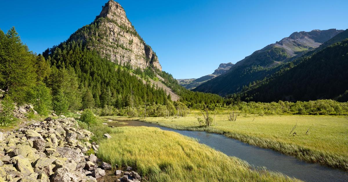 Alpine groen op grote hoogte