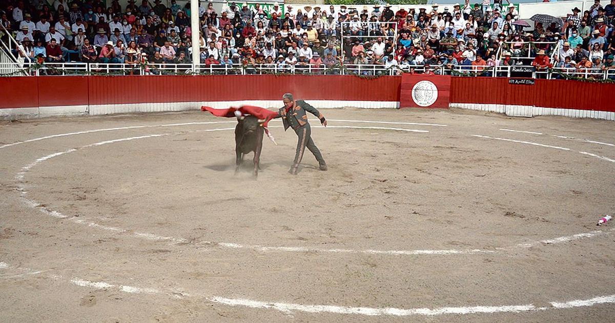En México, furor taurino