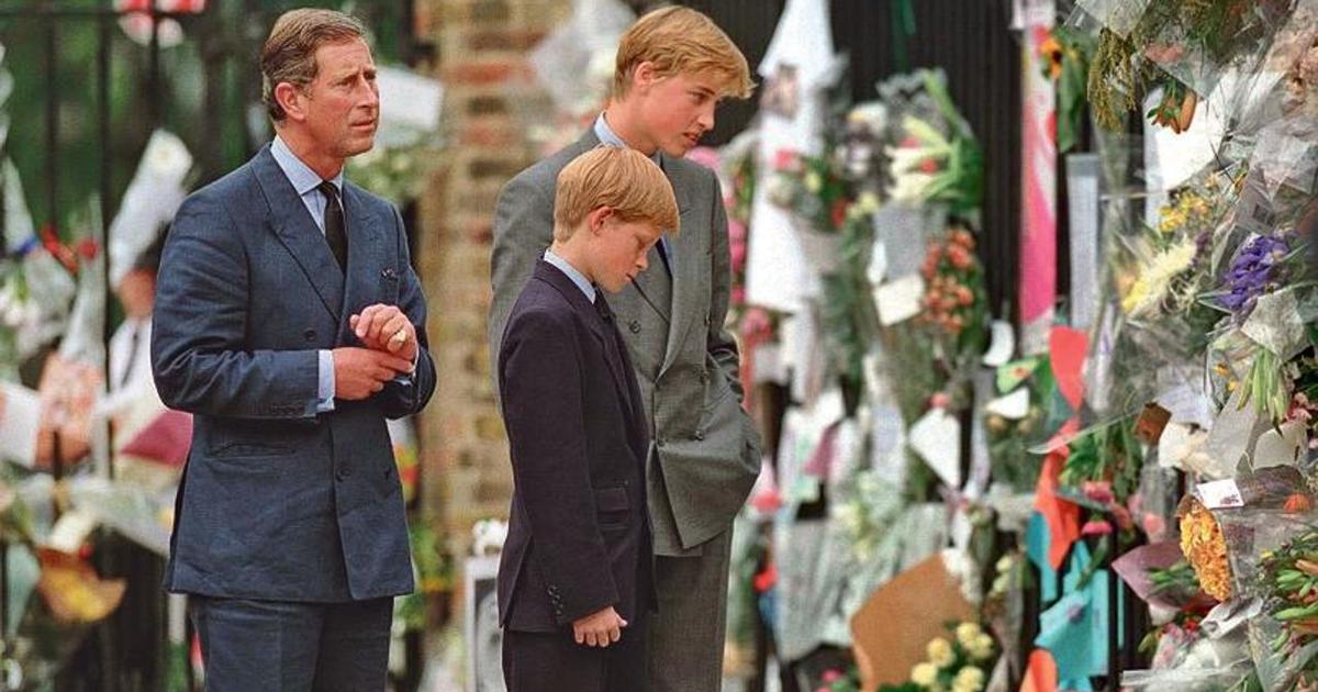 the tribute of princes William and Harry on France 5