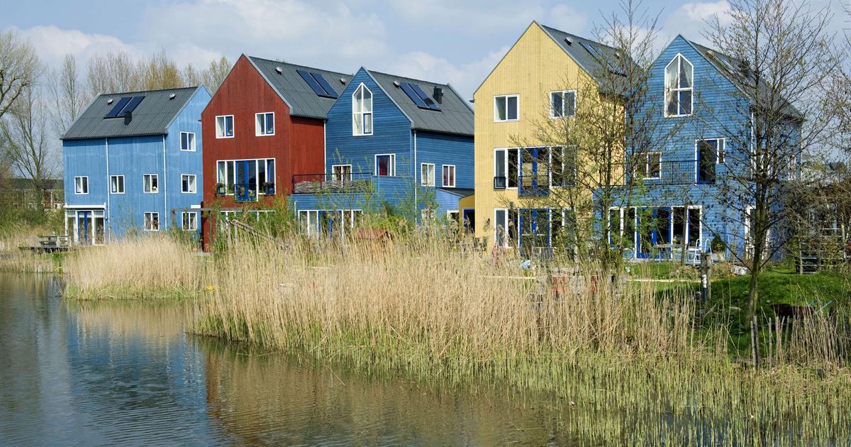 Comment tout un quartier s’est mis au vert aux Pays-Bas
