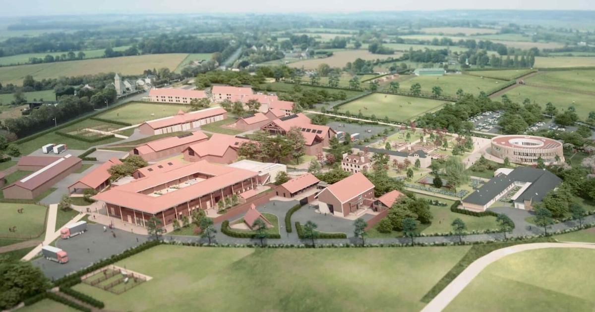Normandy is increasingly focusing on its equine industry The Limited