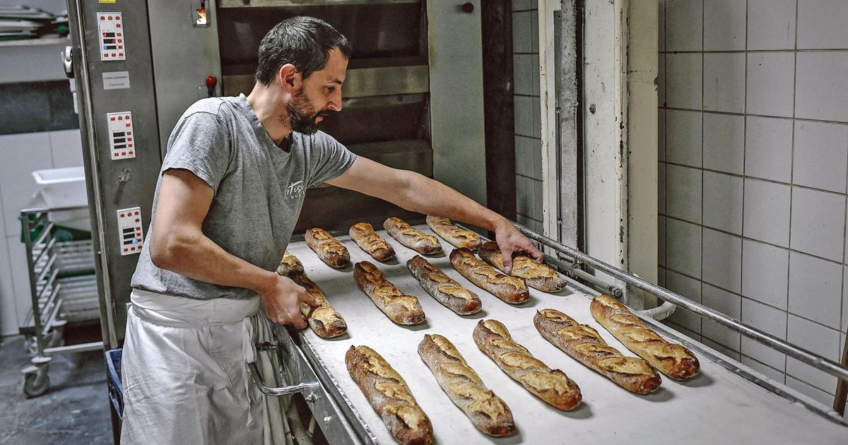 Electricity. executive expands aid to SMEs Buna Time