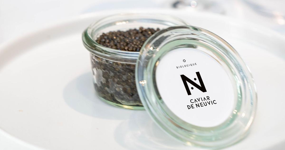 Caviar de Neuvic - Producteur Français engagé de Caviar - Caviar