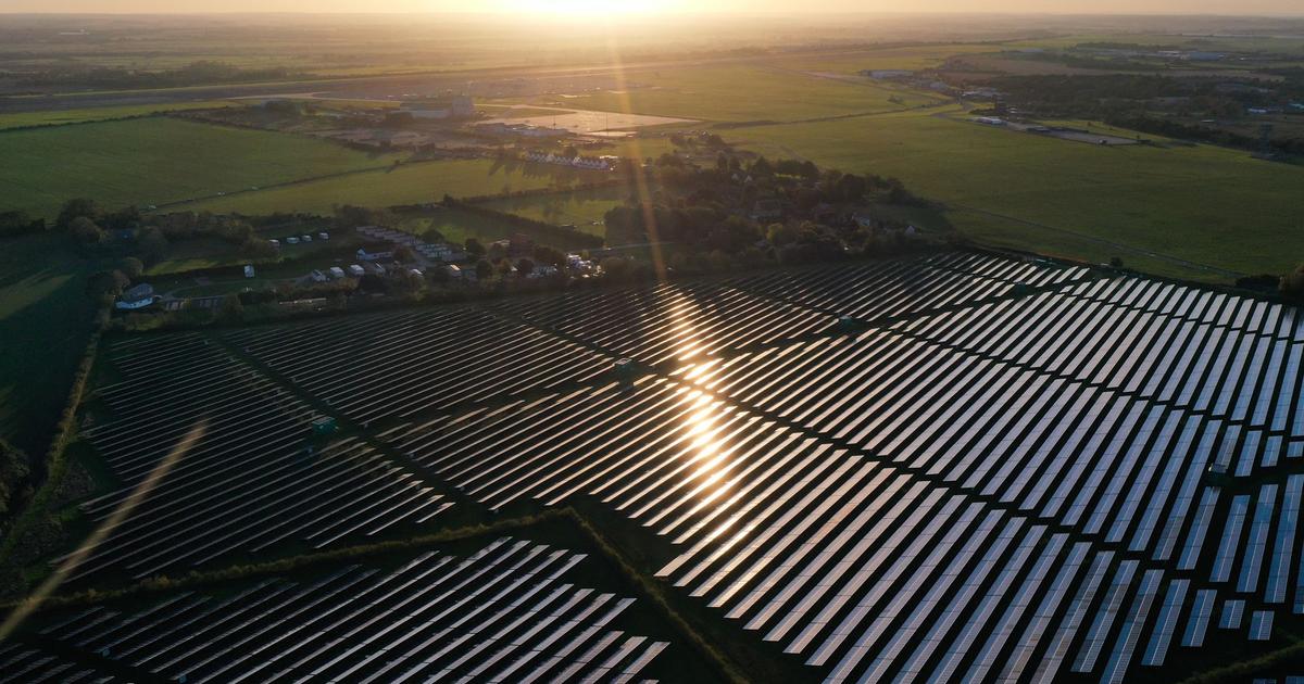 À Metz, une forêt menacée par un projet de ferme solaire