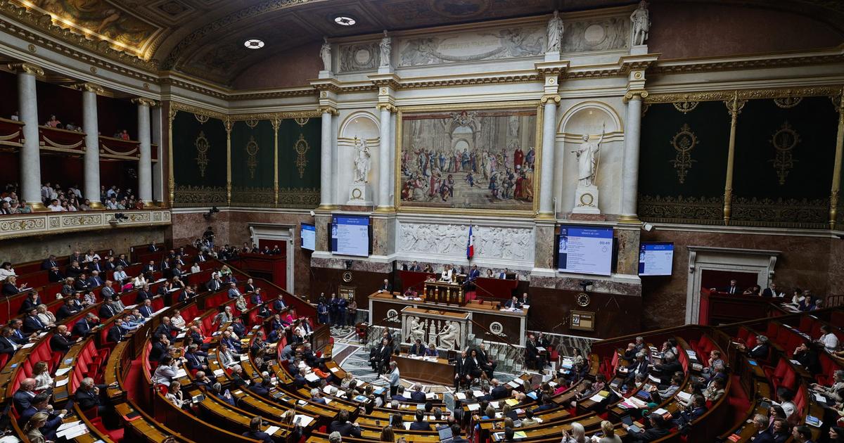 Que Révèlent Les Vingt Scrutins Solennels à L’Assemblée Nationale?