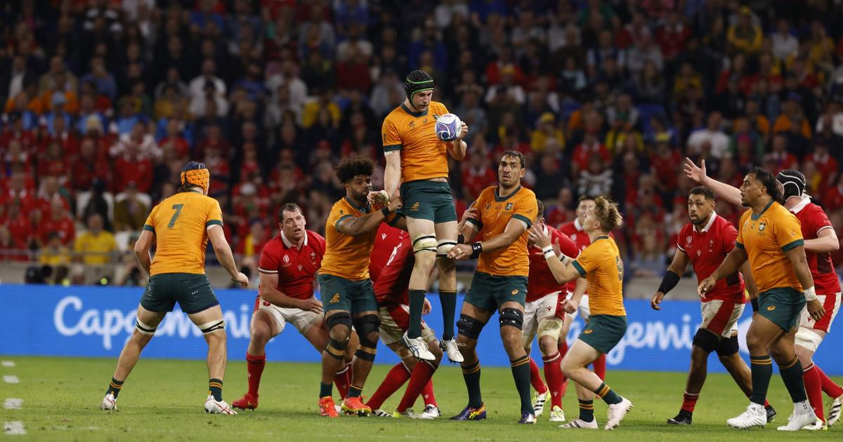 Coupe du monde de <b>rugby</b>: pour l&#39;Australie, la descente aux enfers - Le Figaro
