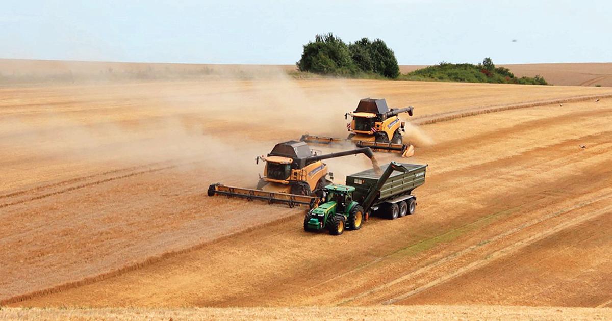 Les céréales ukrainiennes sont devenues un «cauchemar» pour les agriculteurs européens